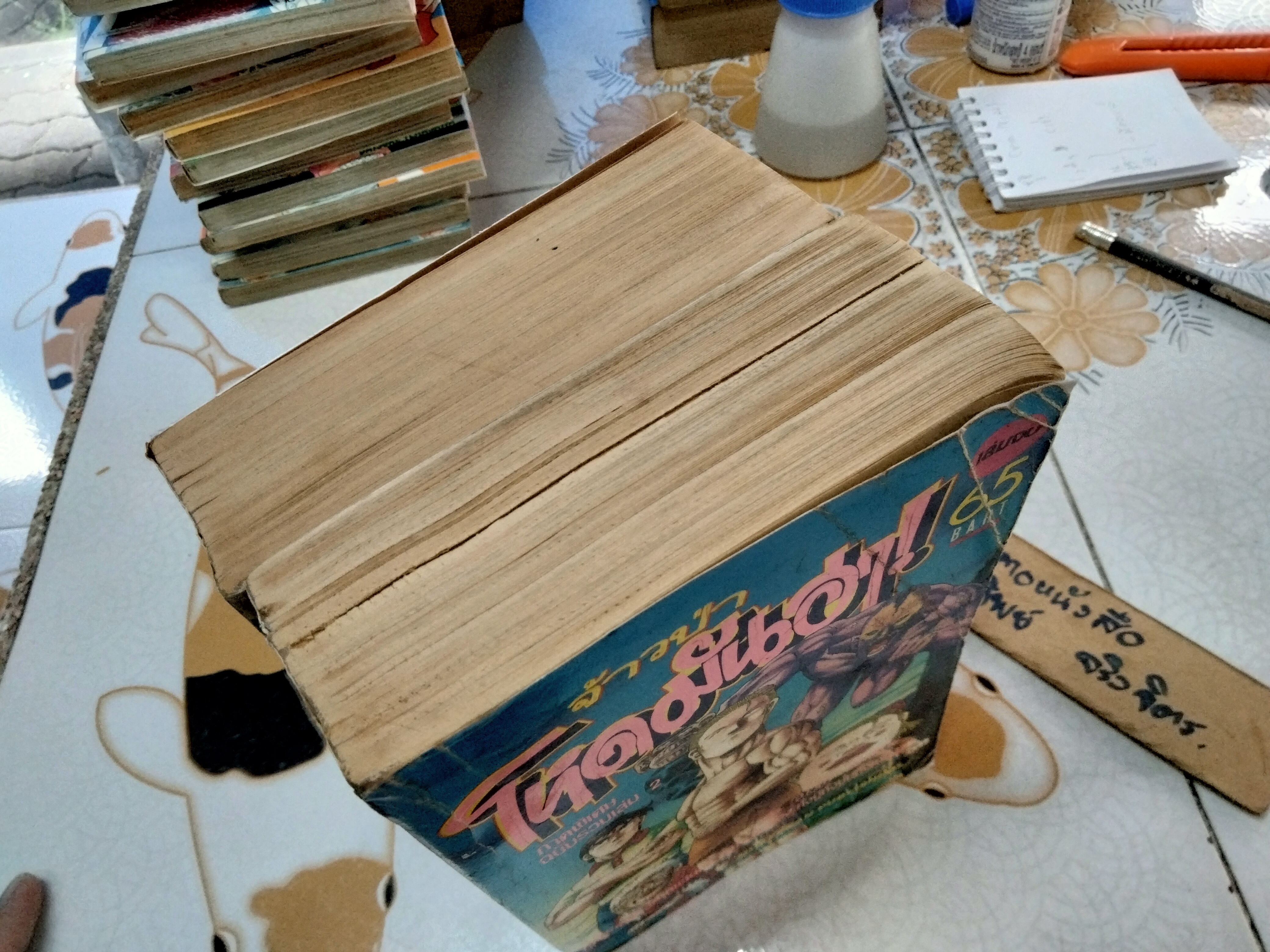 จ้าวป่าโหดมันฮา ภาคพิเศษ 2 เล่มจบ สนพ. หมึกจีน