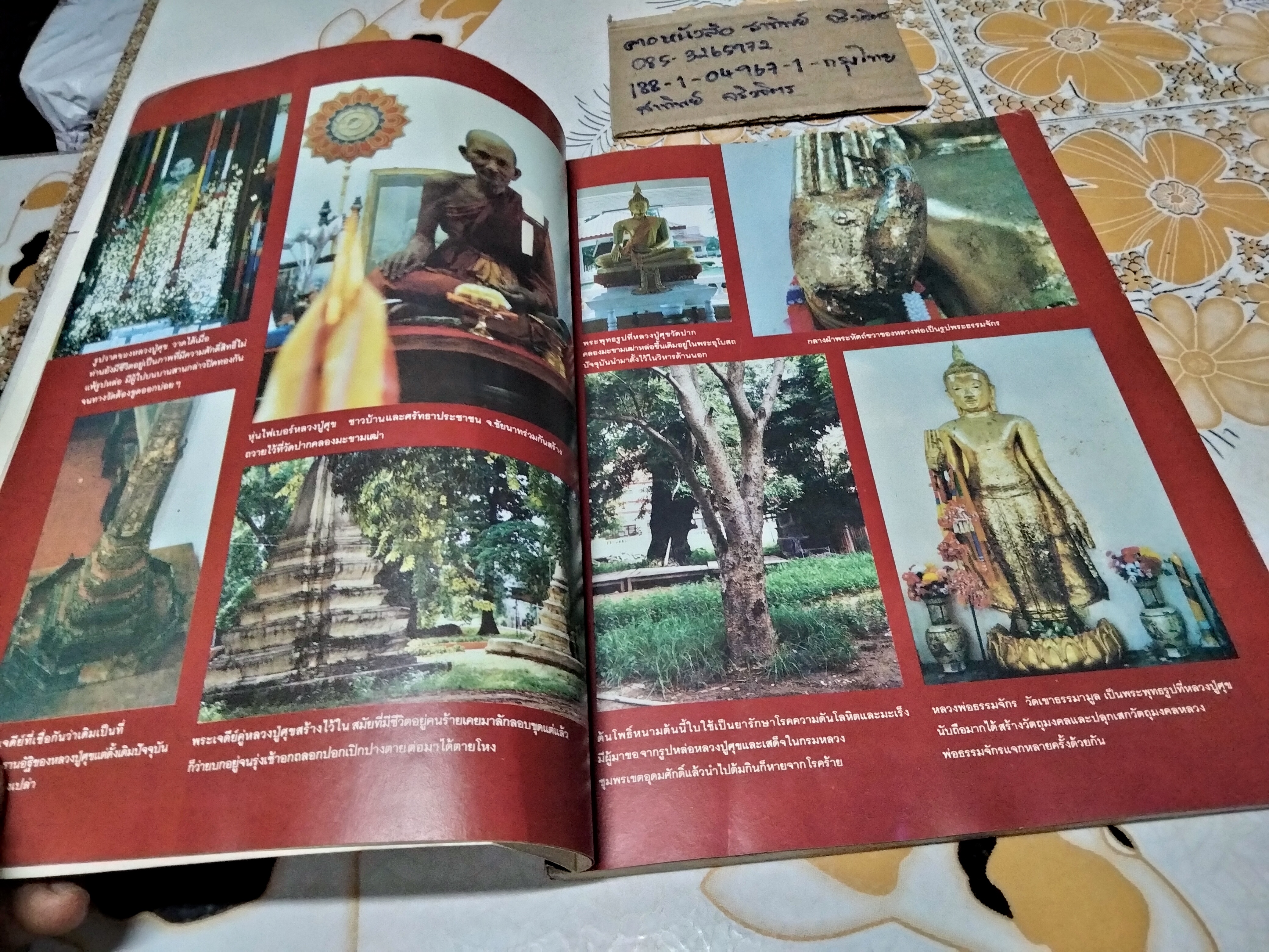 โอม ประวัติ อภินิหาร คาถาอาคม และพระเครื่อง หลวงปู่ศุข วัดปากคลองมะขามเฒ่า (ปกหน้ามีรอยพับ)