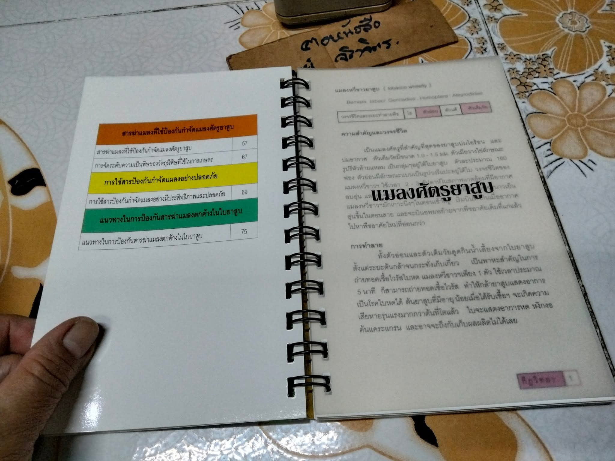 คู่มือ แมลงยาสูบ Tobacco Insect โดย กองกีฏวิทยา สถานีทดลองยาสูบแม่โจ้