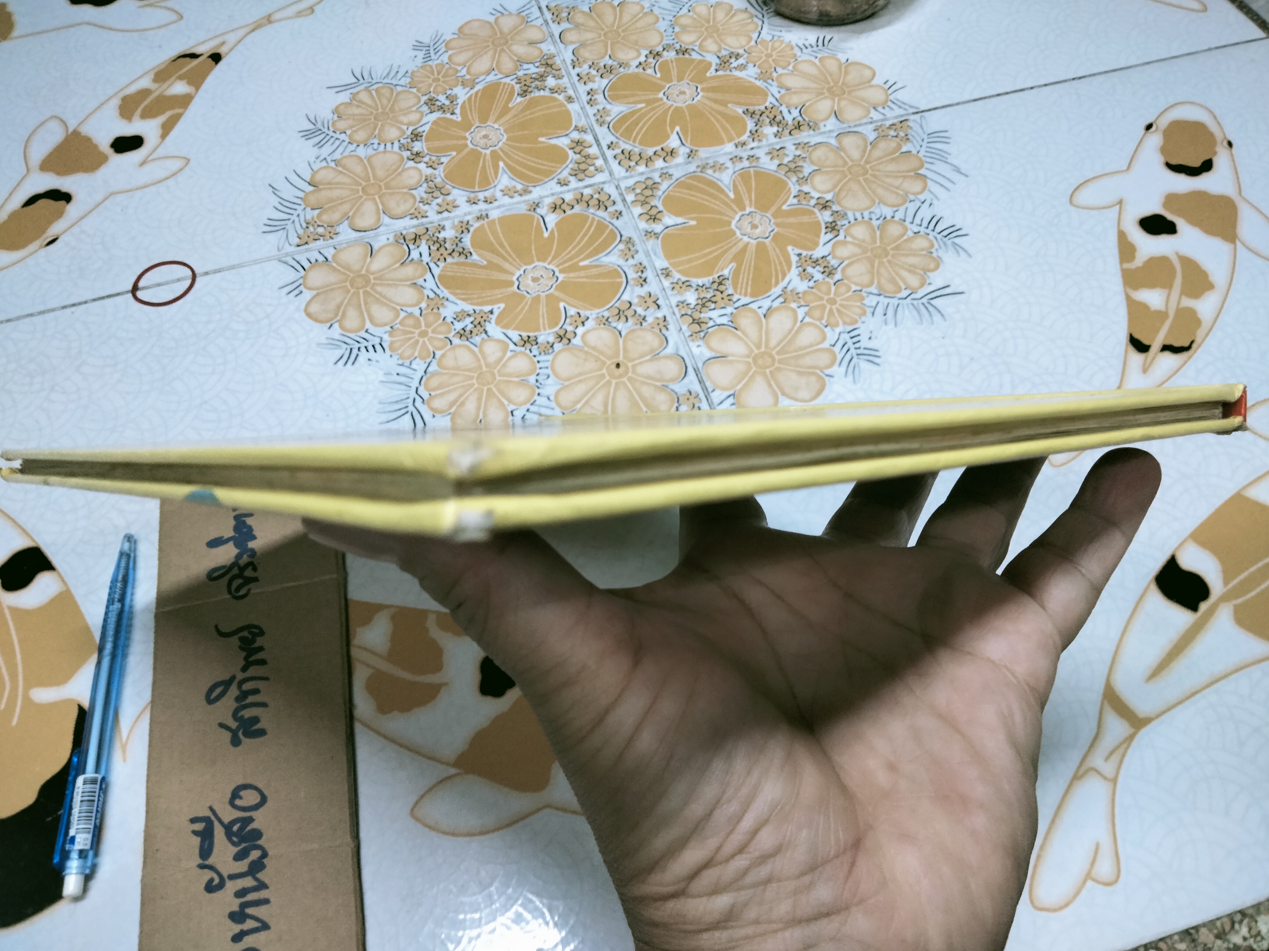 All about DINOSAURS - DERRYDALE BOOKS