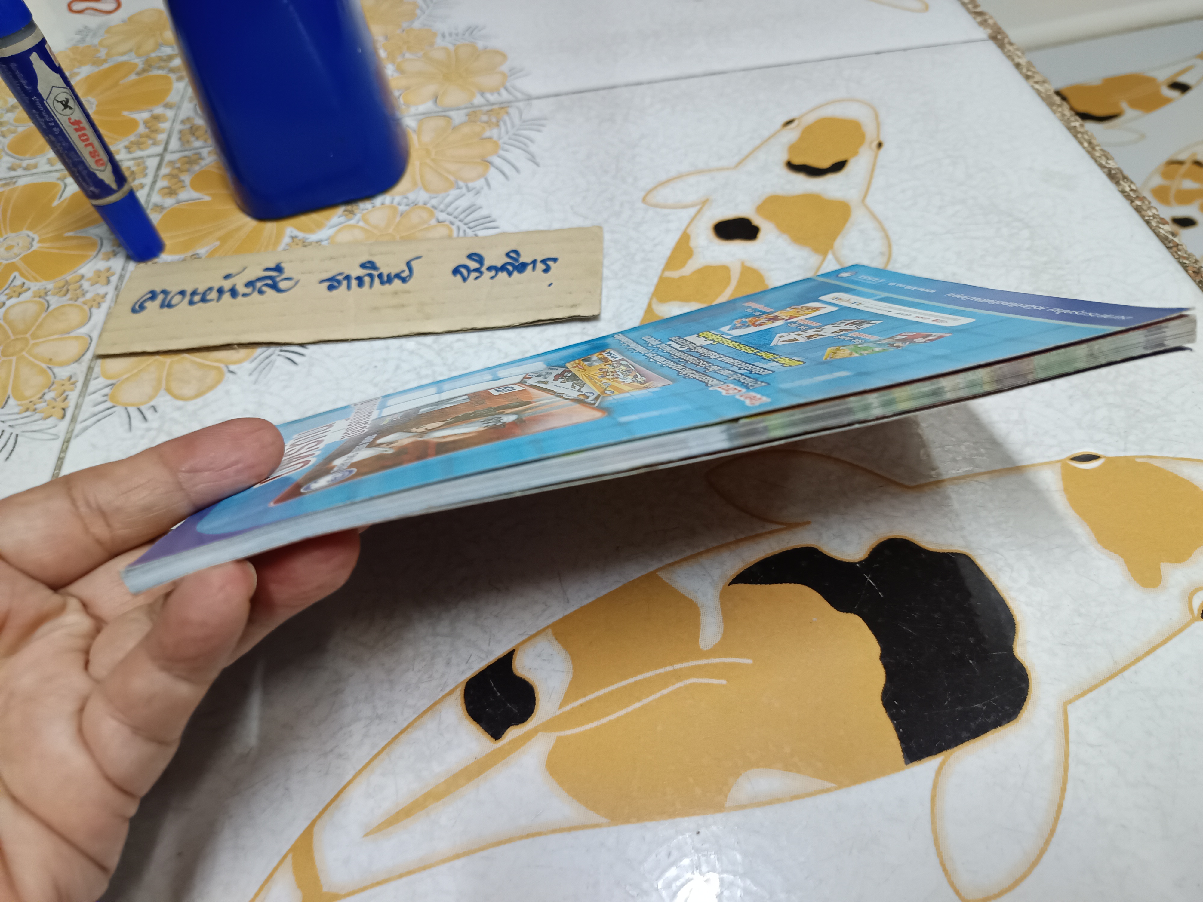 บทสรุปเกมออนไลน์ Grand Chase Season 2