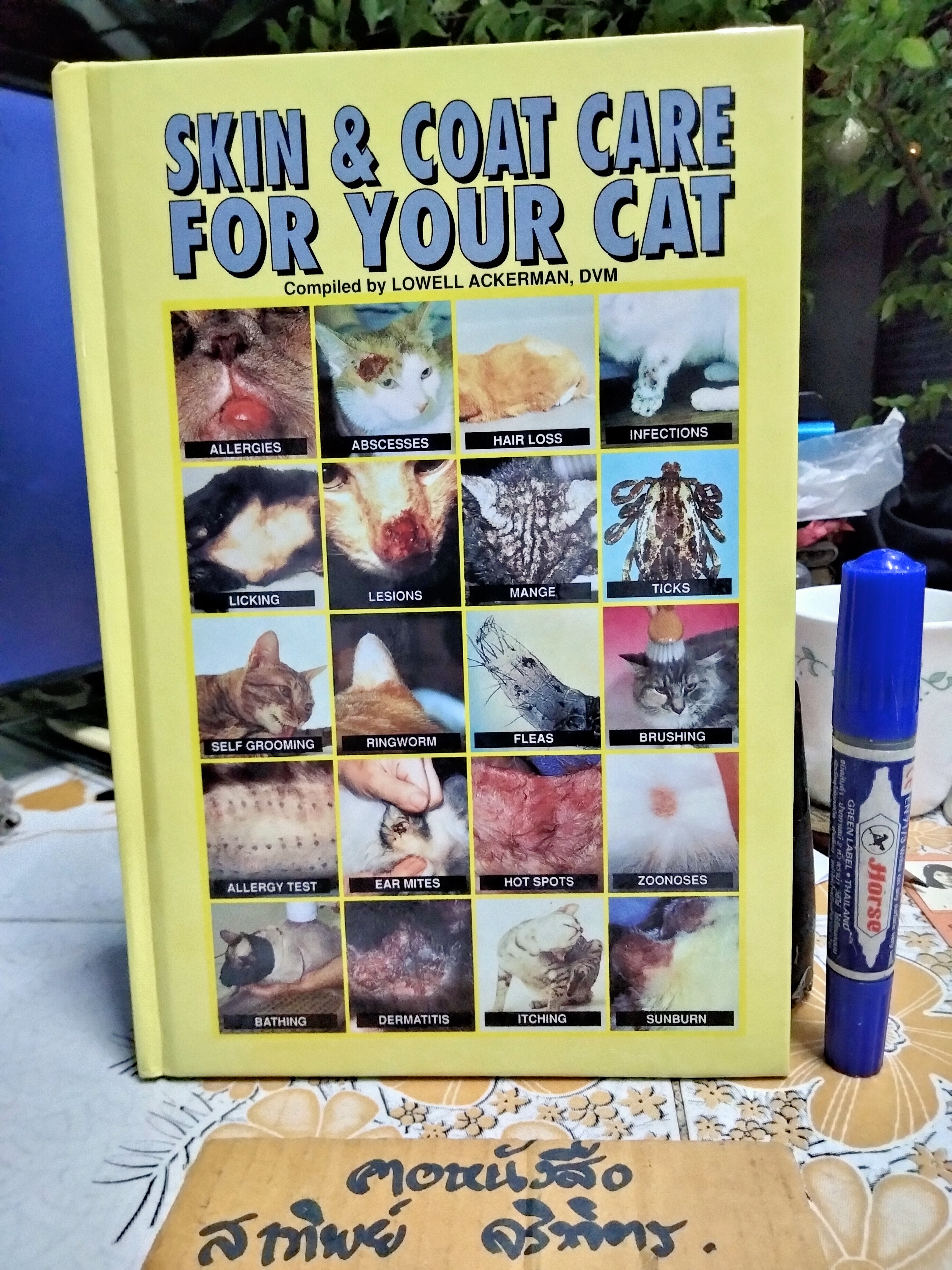 Skin & Coat Care for Your Cat Compiled by Lowell Ackerman