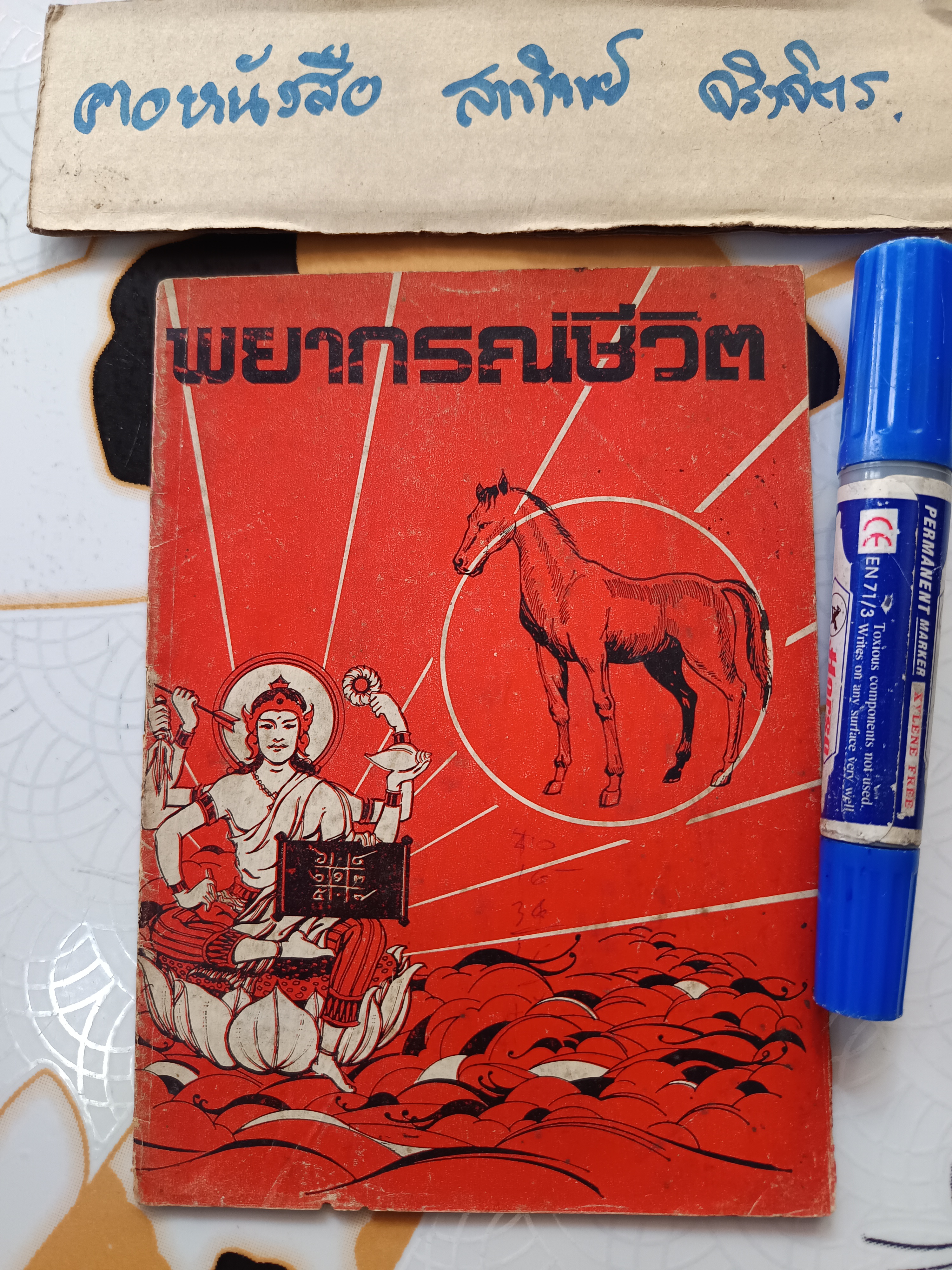 พยากรณ์ชีวิต คนเกิดปีมะเมีย (ม้า)
