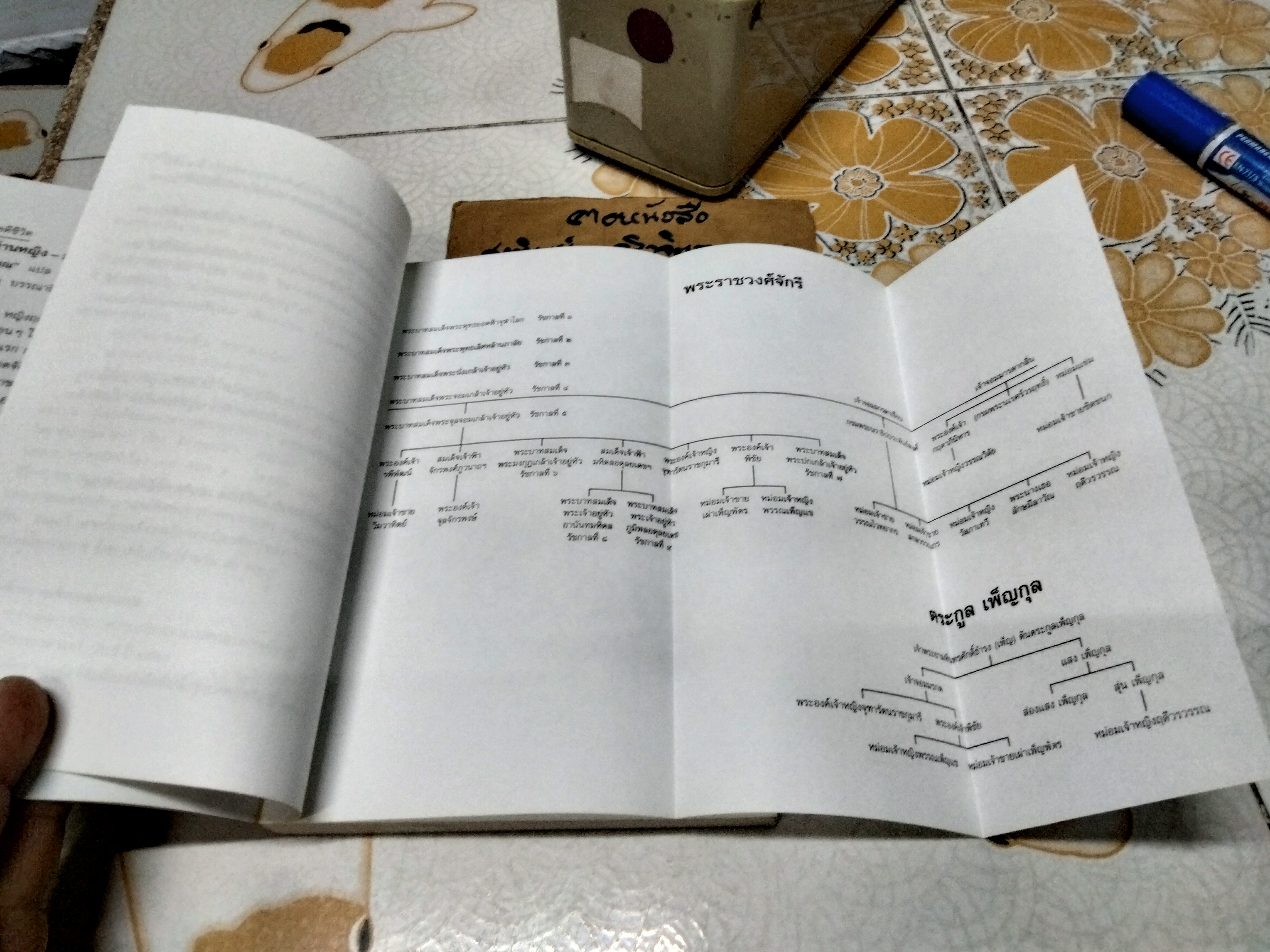 บันทึกท่านหญิง ม.จ. หญิงฤดีวรวรรณ เขียน แก้วสุวรรณ แปล (พงษ์ลดา อิทธิเมฆินทร์) สำนักพิมพ์ดับเบิ้ลนายน์ พิมพ์ครั้งแรก พ.ศ. 2544 **สินค้าหมด**