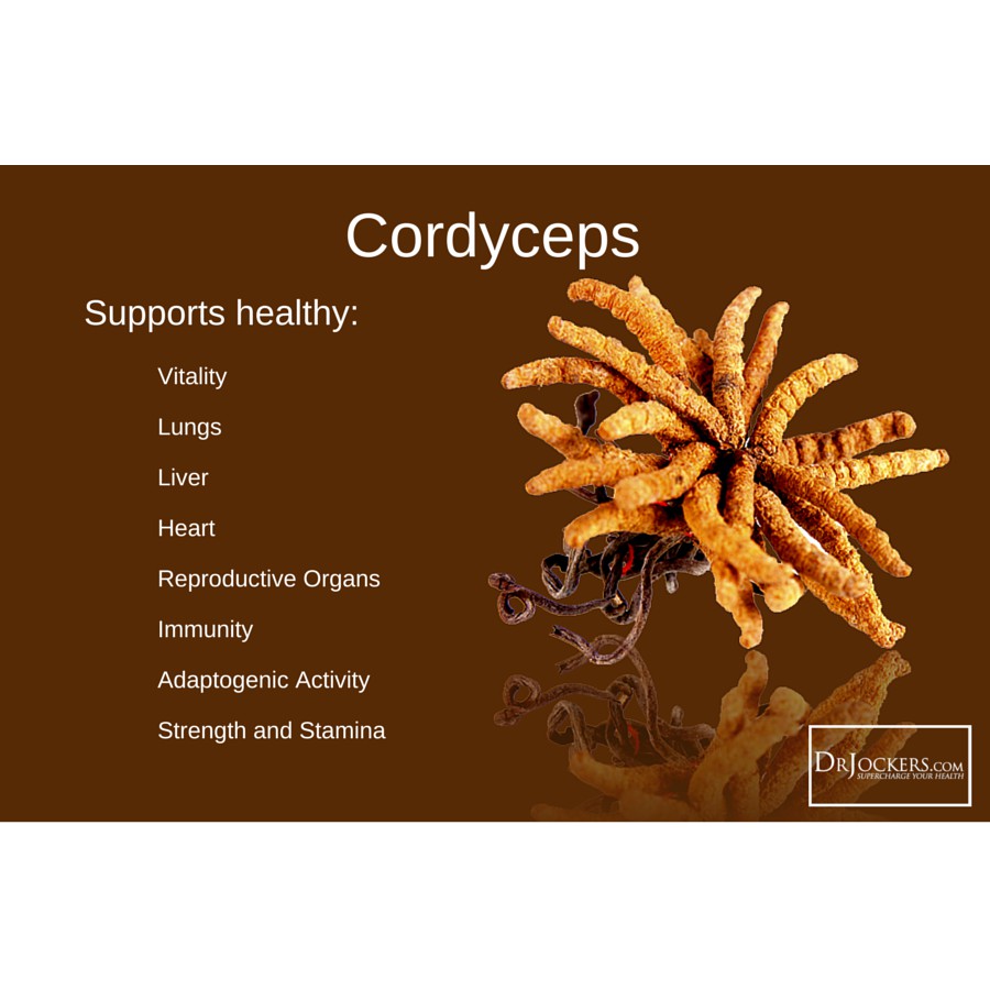 Doctor's Best® Ultra Cordyceps Sinensis 750mg* 60 Veggie Caps เห็ดถั่งเช่าทิเบตสกัดเพิ่มกำลังวังชา สดชื่น ยาอายุวัฒนะ