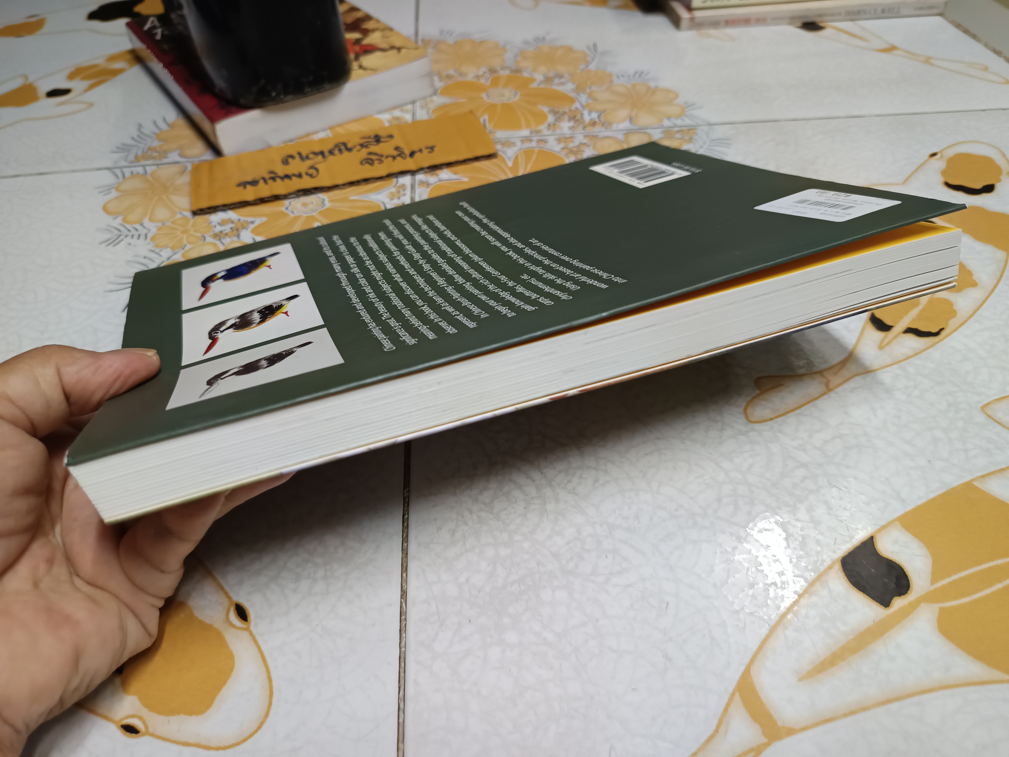 Chinese Brush Painting : A Beginner's Step-by-Step Guide by Mei Ruo