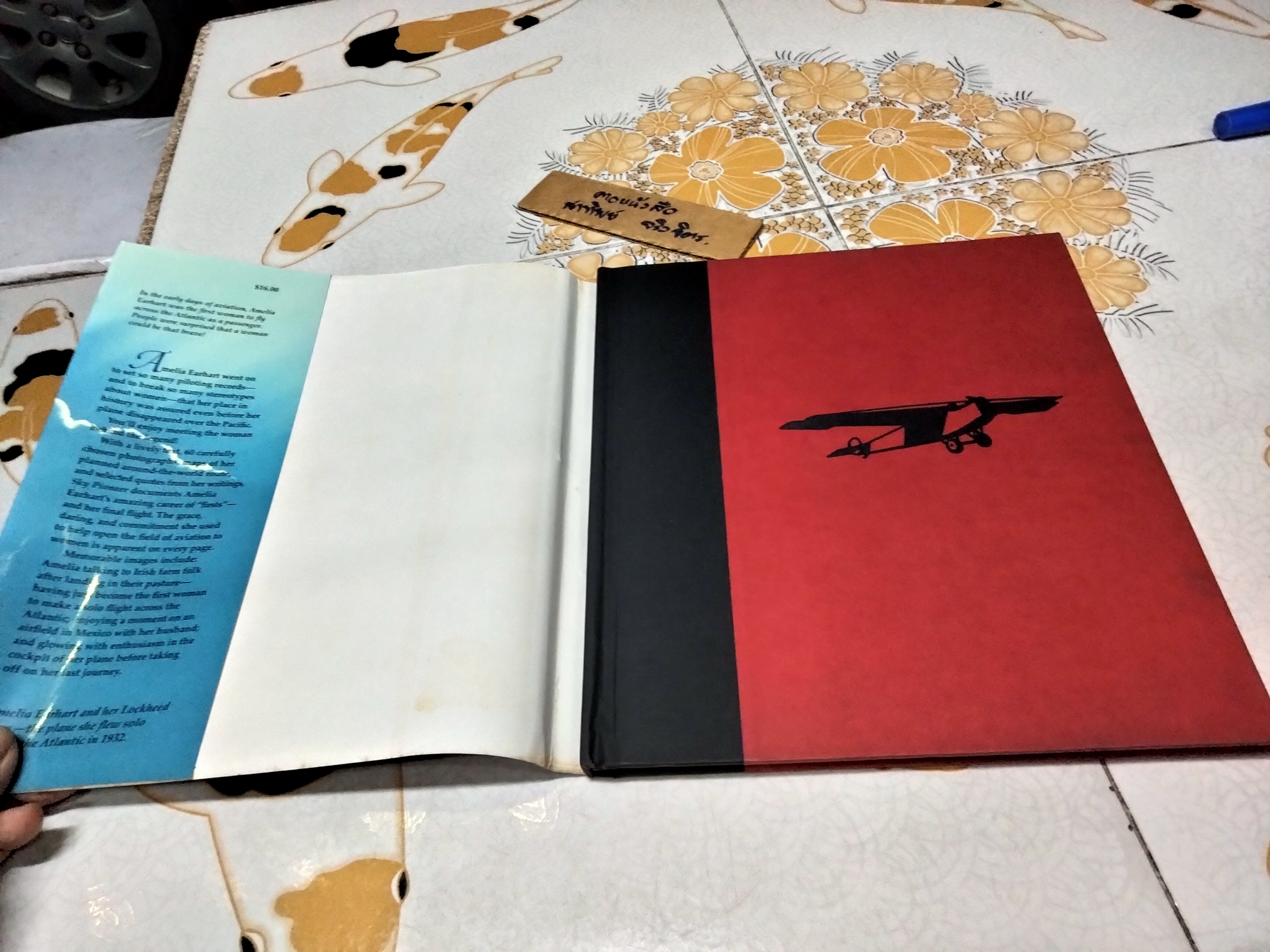 SKY PIONEER : A Photobiography of Amelia Earhart by CORINNE SZABO