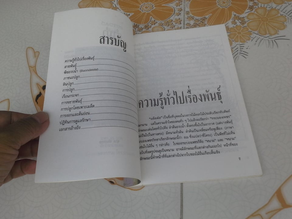 แคคตัส (CACTUS) โดย ชาง ตันสกุล **สินค้าหมด**