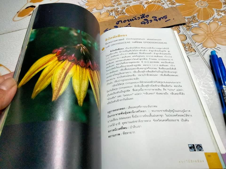 มหัศจรรย์ดอกไม้ป่า เล่ม 1 - ชาธร สิทธิเคหภาค