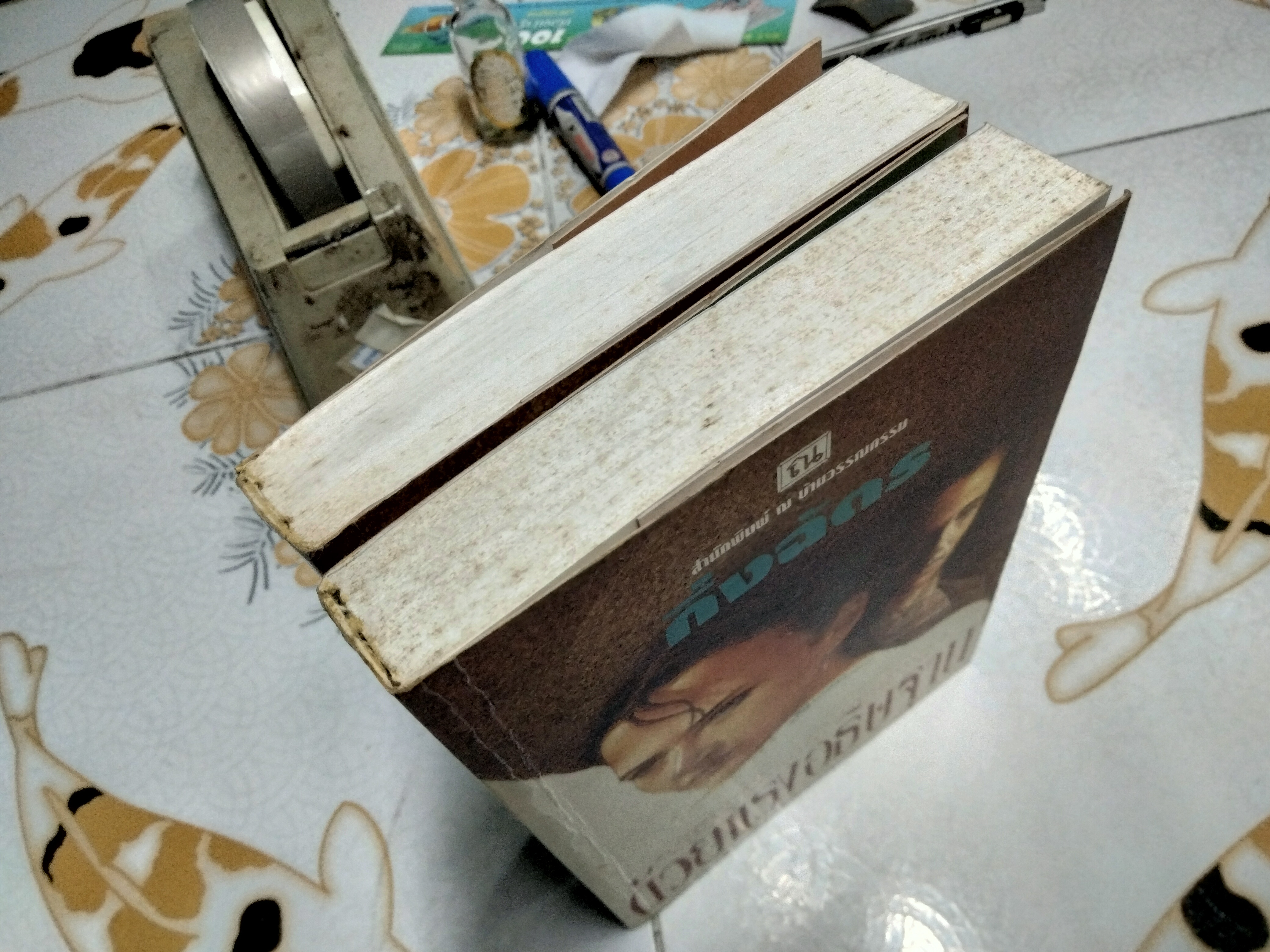 ด้วยแรงอธิษฐาน (2 เล่มจบ) โดย กิ่งฉัตร