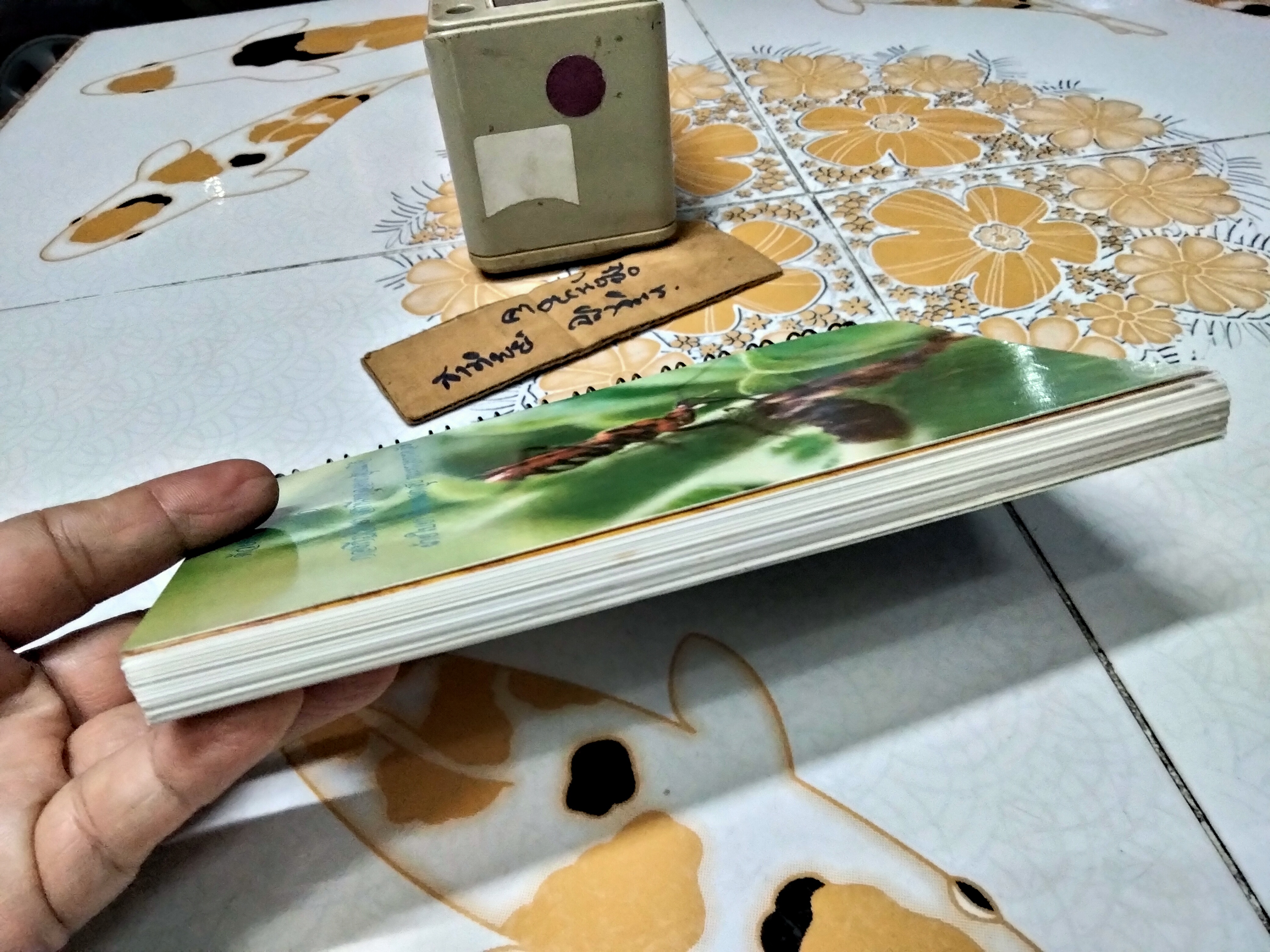คู่มือ แมลงยาสูบ Tobacco Insect โดย กองกีฏวิทยา สถานีทดลองยาสูบแม่โจ้ (พิมพ์ครั้งแรก 2549 จำนวน 1,000 เล่ม)