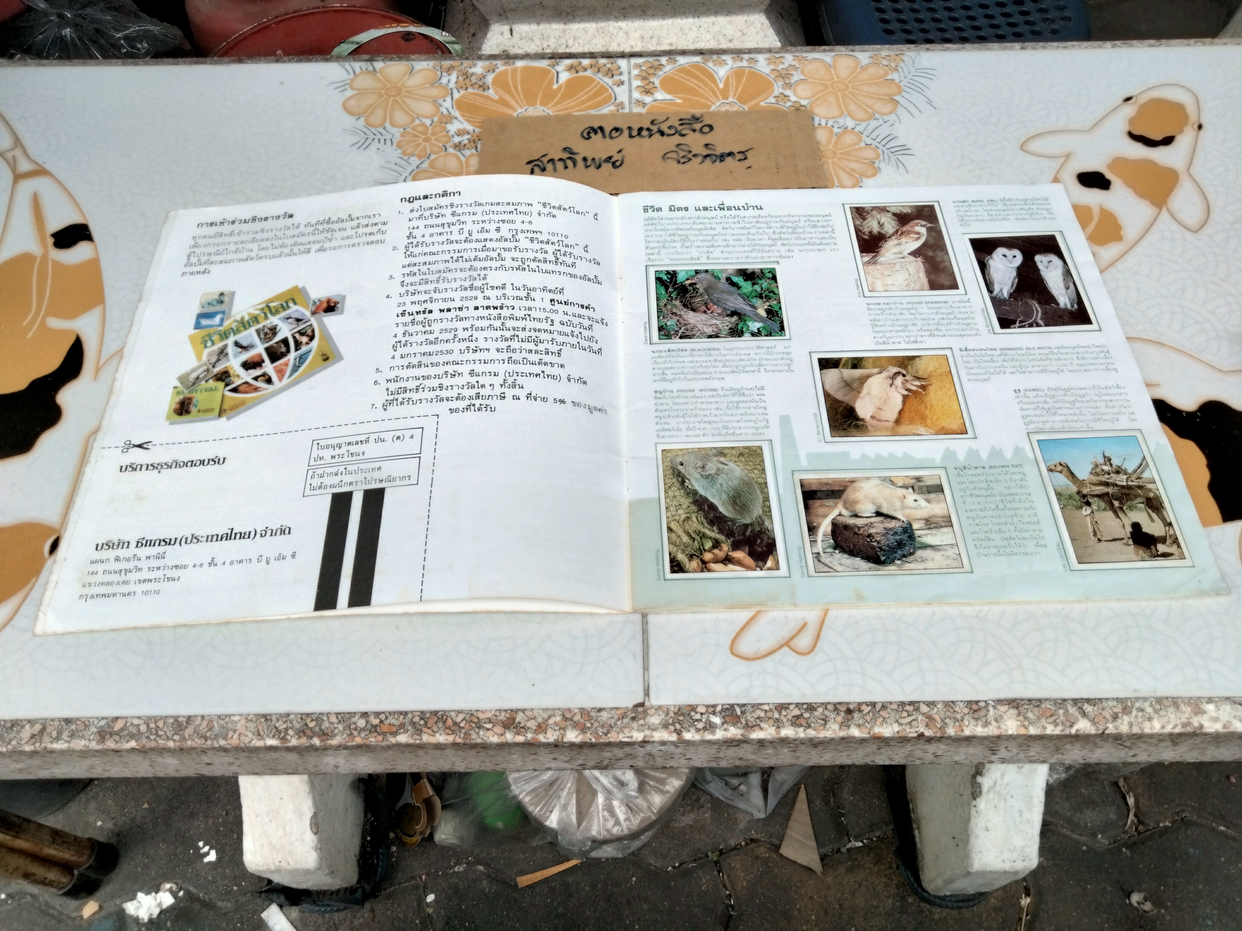 สมุดสะสมสติกเกอร์ ชีวิตสัตว์โลก (แปะสติกเกอร์ 178 รูป จากทั้งหมด 240 รูป) **สินค้าหมด**