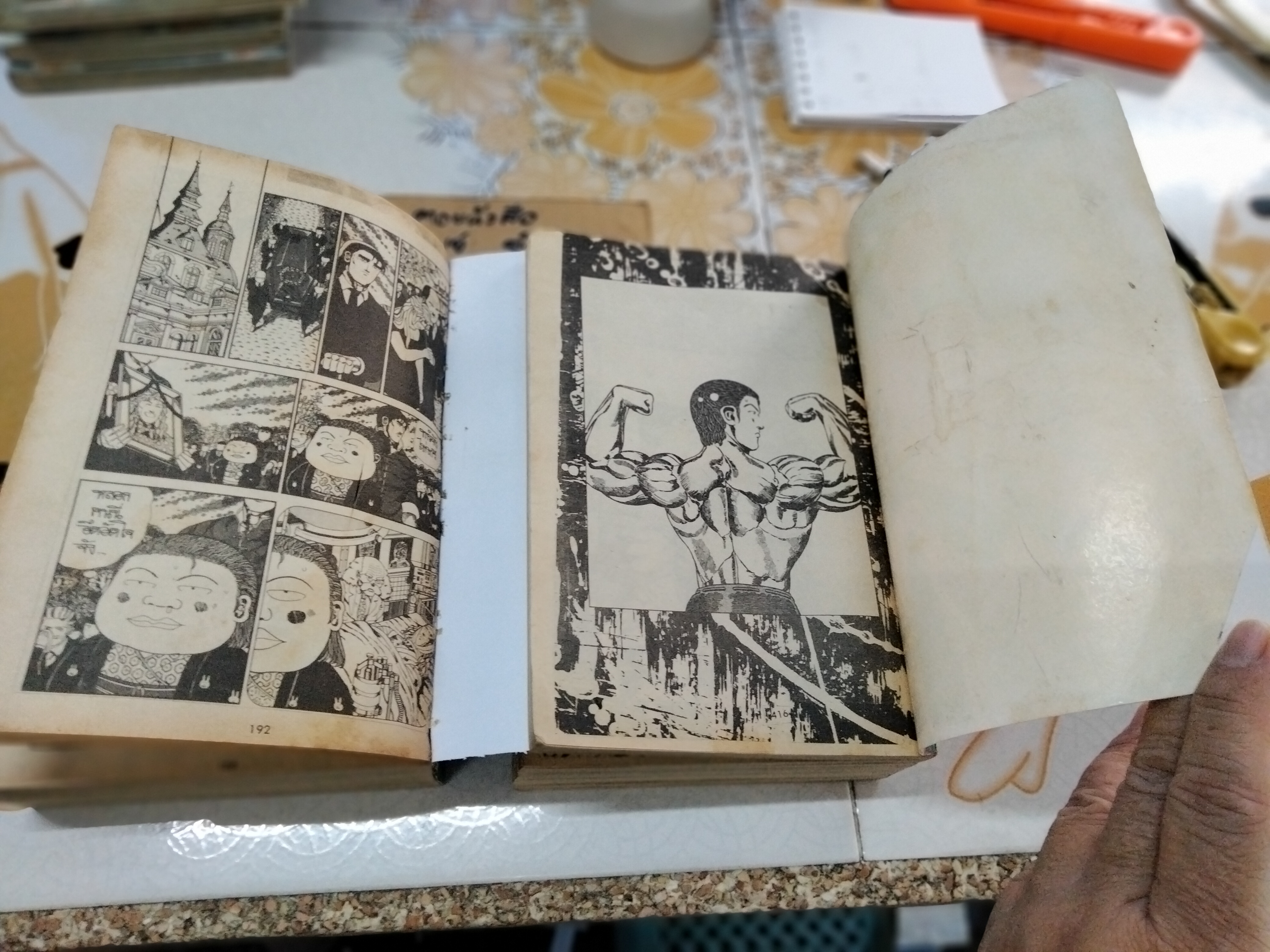 จ้าวป่าโหดมันฮา ภาคพิเศษ 2 เล่มจบ สนพ. หมึกจีน