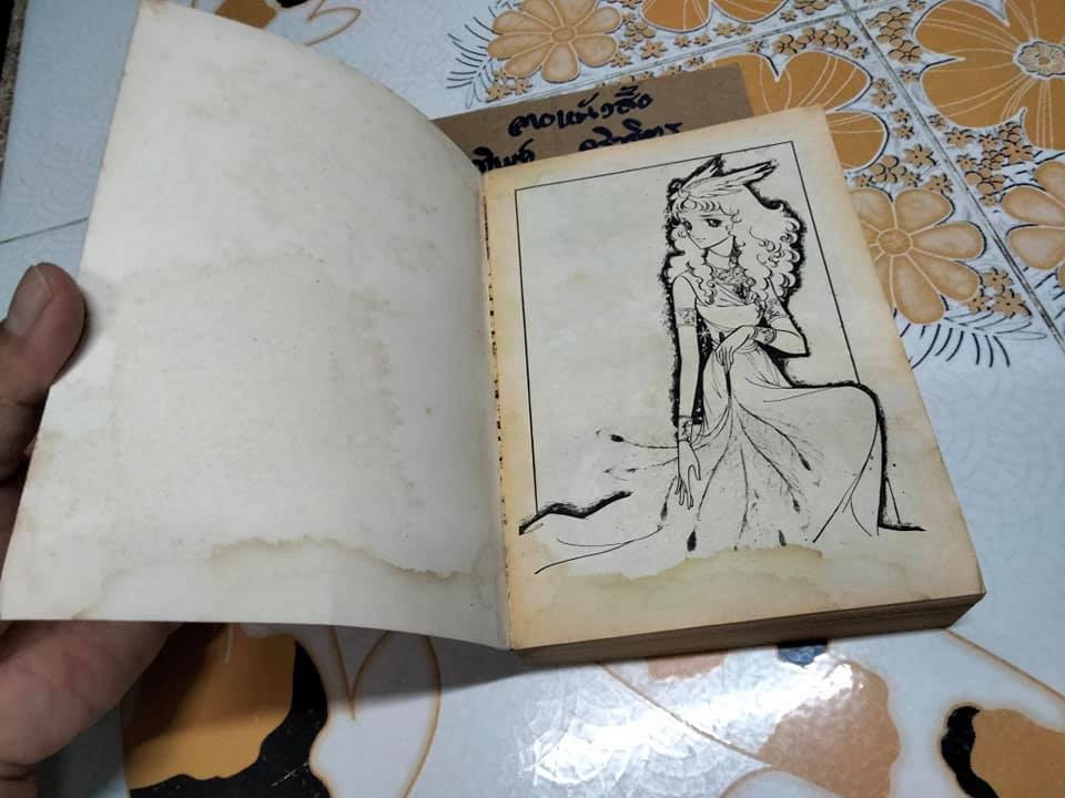 สุสานฟาโรห์ (เศษ เล่ม 1- ชุดนี้ 2 เล่มจบ) ผลงาน ทาเคมิยะ เคียวโกะ