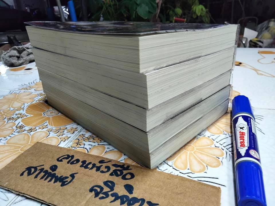 เจ้าสาวอสูร (5 เล่มจบ) นิยายแฟนตาซี Light Novel - Lisa เขียน , ohohoh แปล **สินค้าหมด**