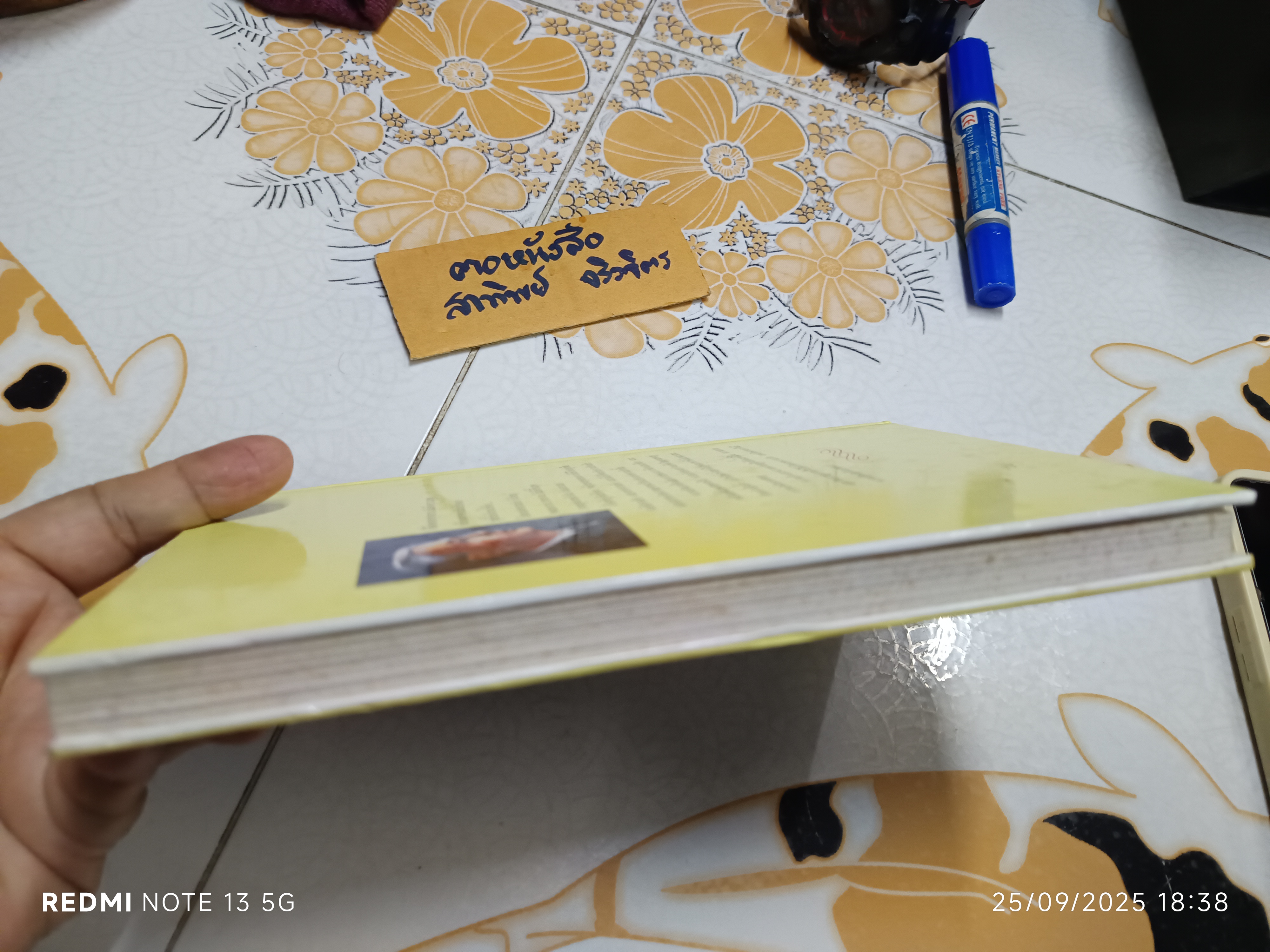 ความรักของมิตย่า Mitya's Love อีวาน บูนิน IVAN BUNIN เขียน ศ.ศุภศิลป์ แปล พิมพ์ครั้งแรกพ.ศ 2536 สำนักพิมพ์สมิต