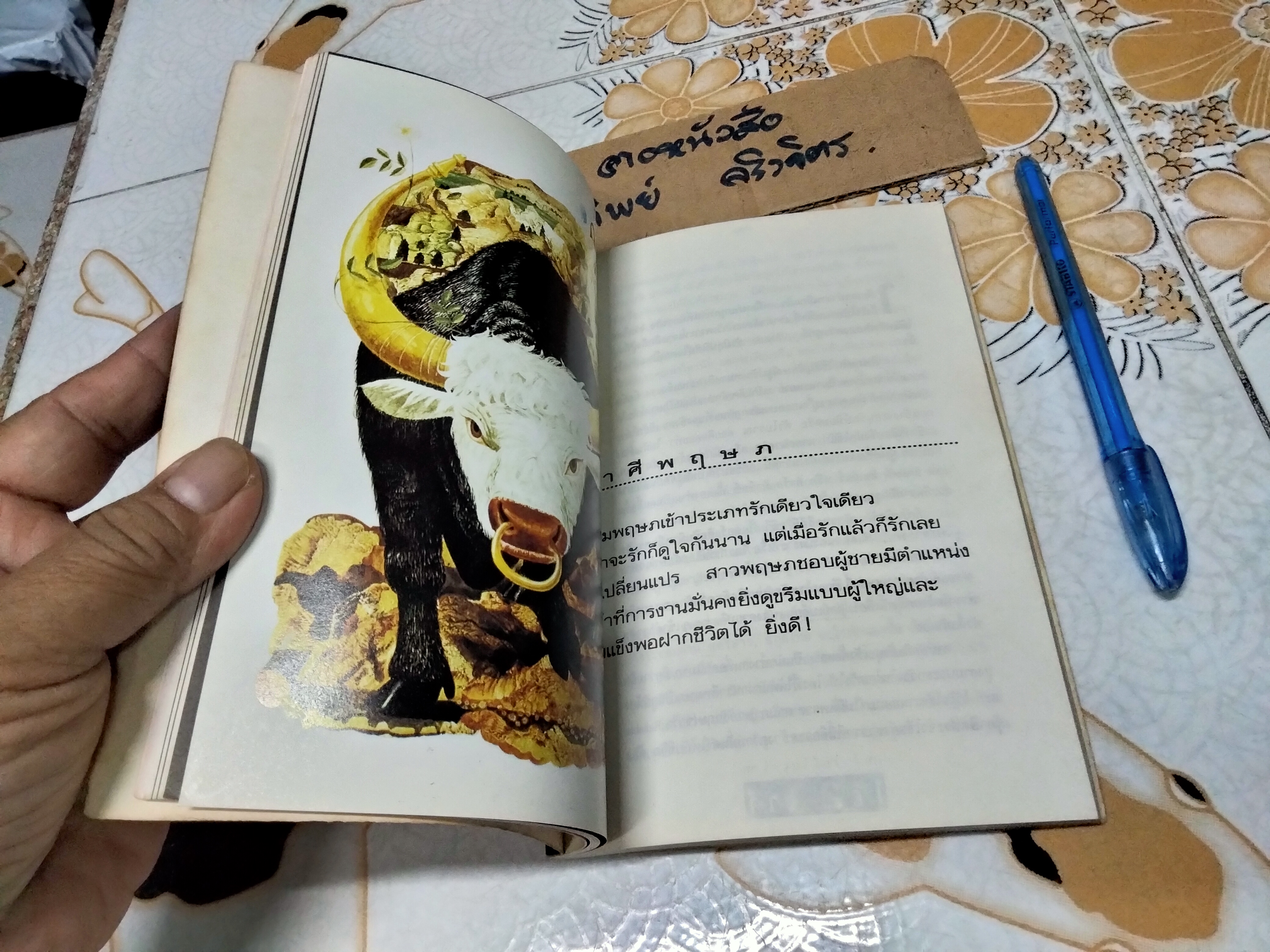 ทายใจรัก 12 ราศี - ขุนทอง อสุนี ณ อยุธยา , พิมพ์ปี พ.ศ.2536 **สินค้าหมด**