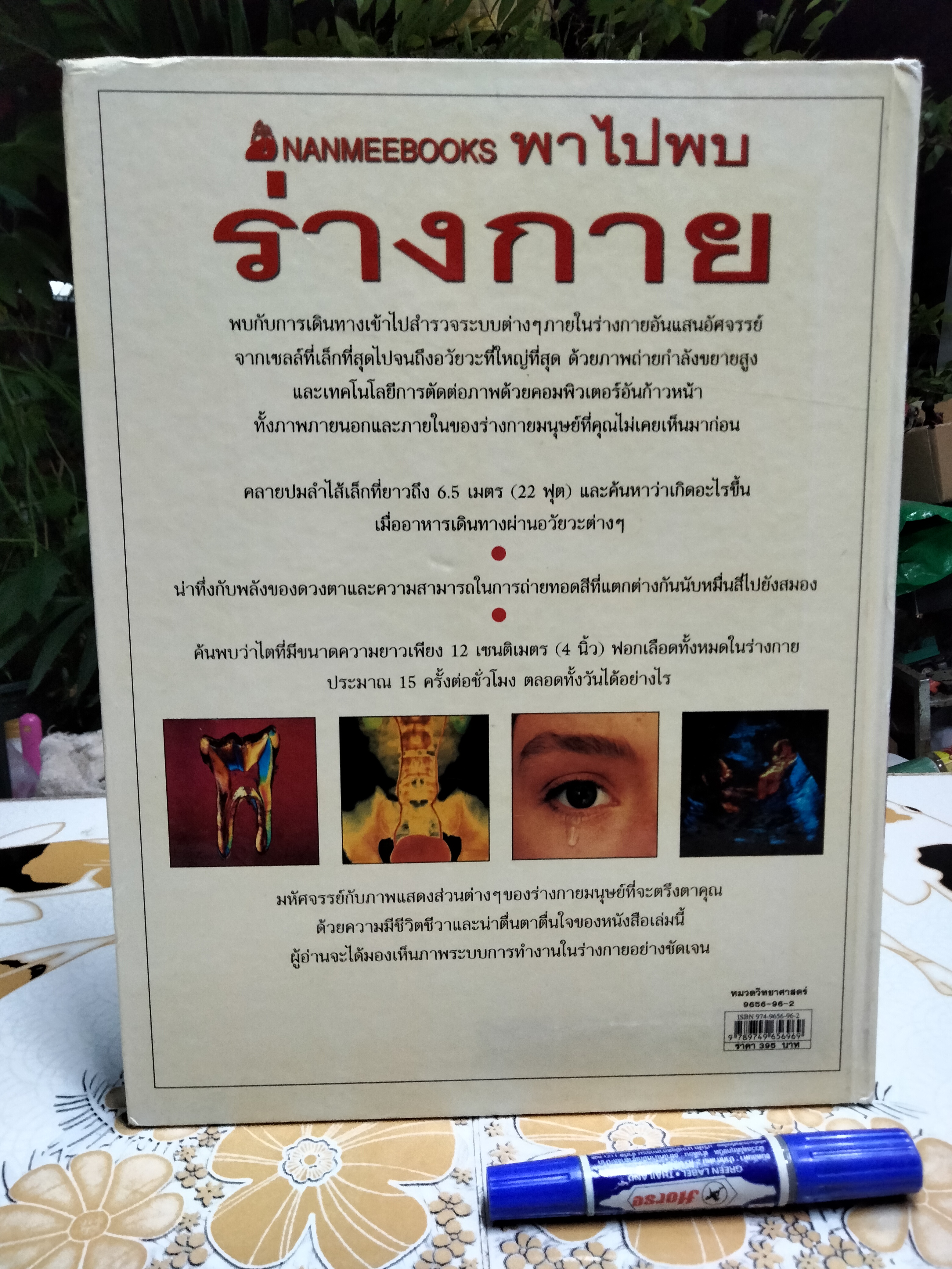 NANMEEBOOKS พาไปพบร่างกาย - Richard Walker เขียน, มีนา โอวราวินทร์ แปล (มีตราประทับจากห้องสมุดที่ใบรองปกหน้าและหลัง)