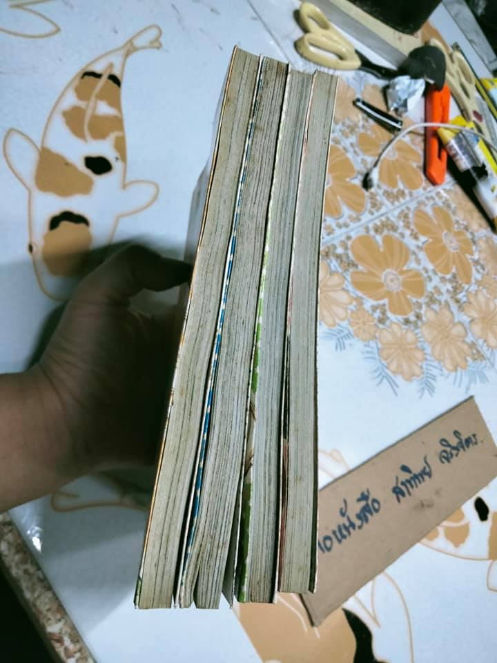 หมอดูสาวยอดนักสืบ (4 เล่มจบ) NATSUMI ANDO