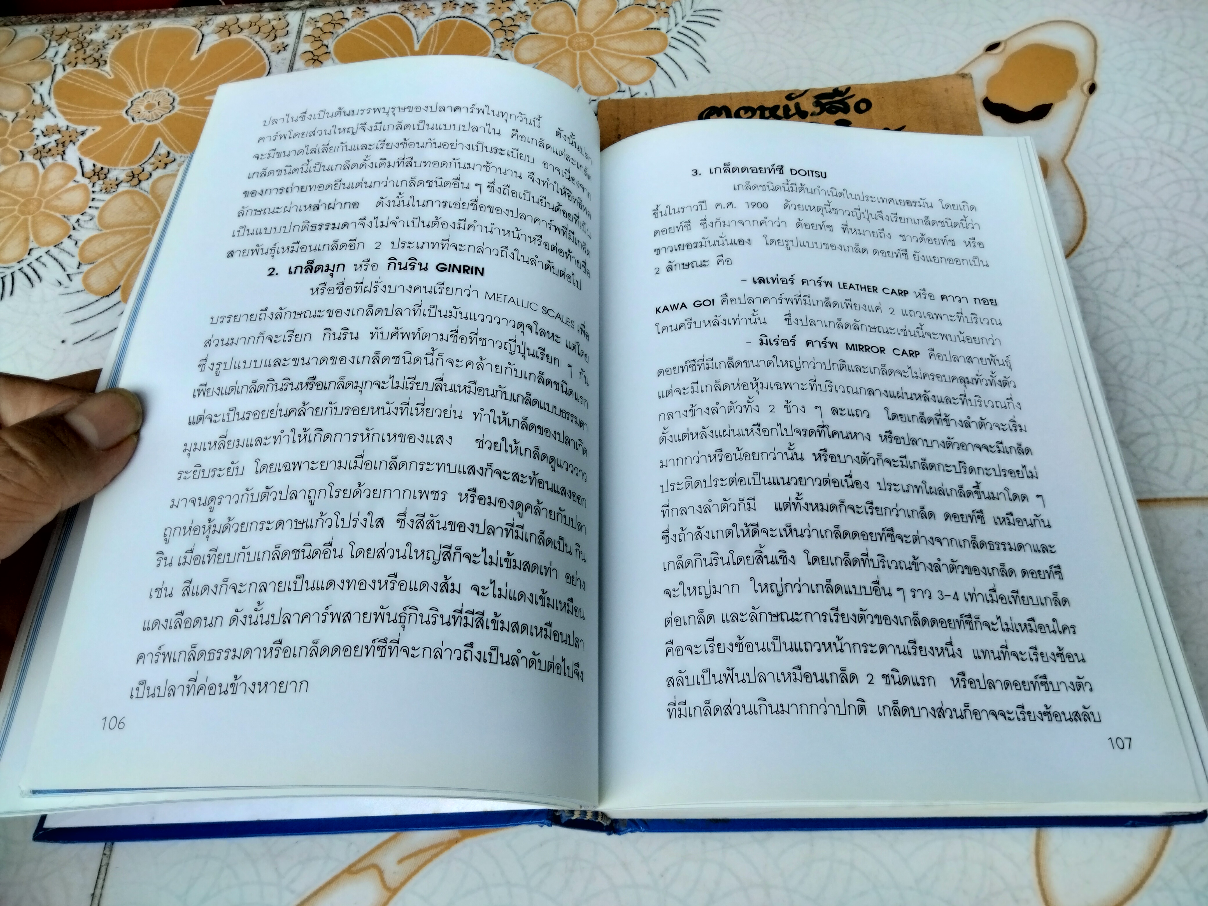 คู่มือเลี้ยงปลาคาร์พ โดย สุรศักดิ์ วงศ์กิตติเวช HANDBOOK OF NISHIKIGOI **สินค้าหมด**