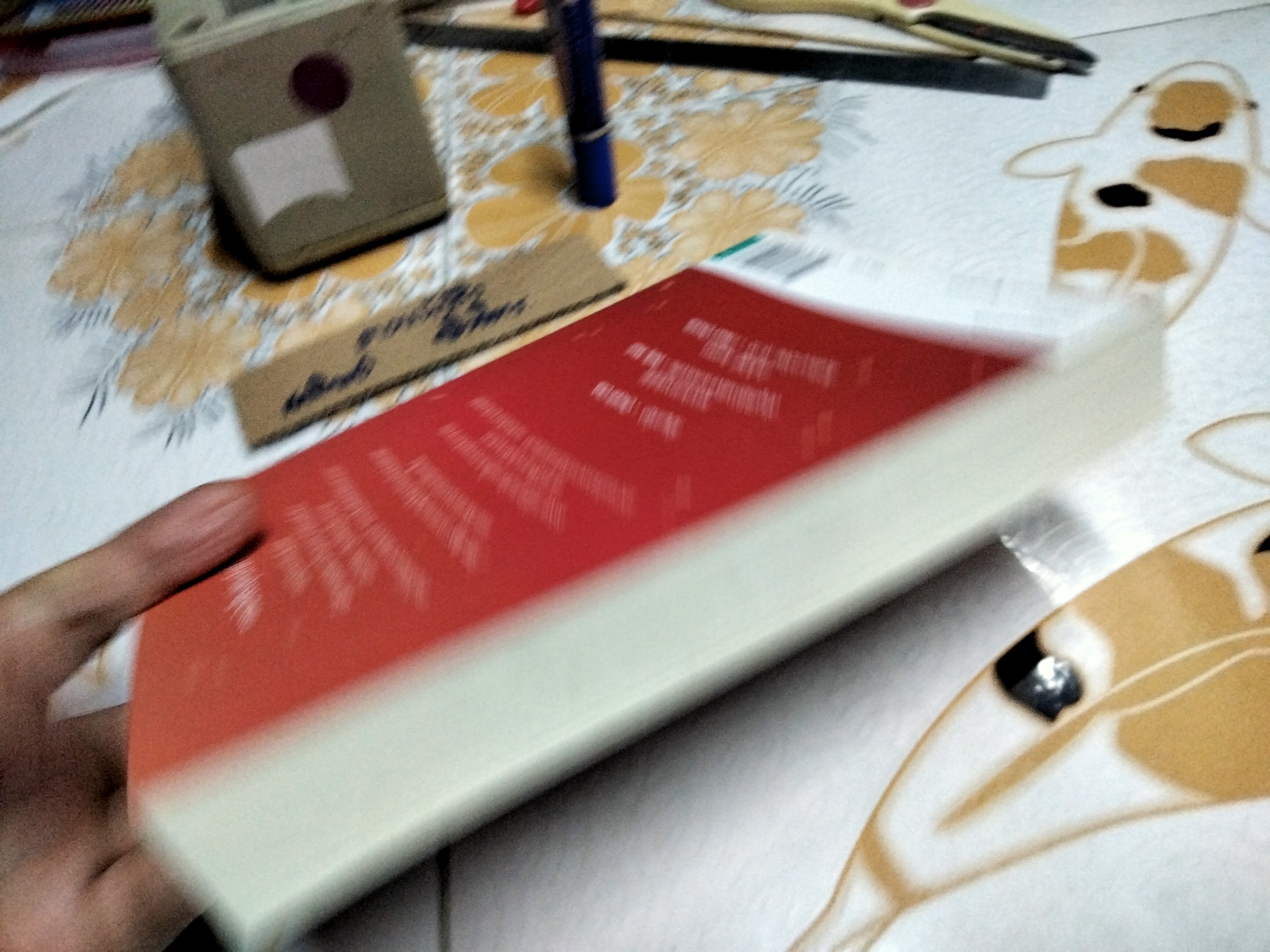 สาวนักช็อป ปีนบันไดตะกายดาว Sophie Kinsella (โซฟี คินเซลลา) วิกันดา จันทร์ทองสุ แปล