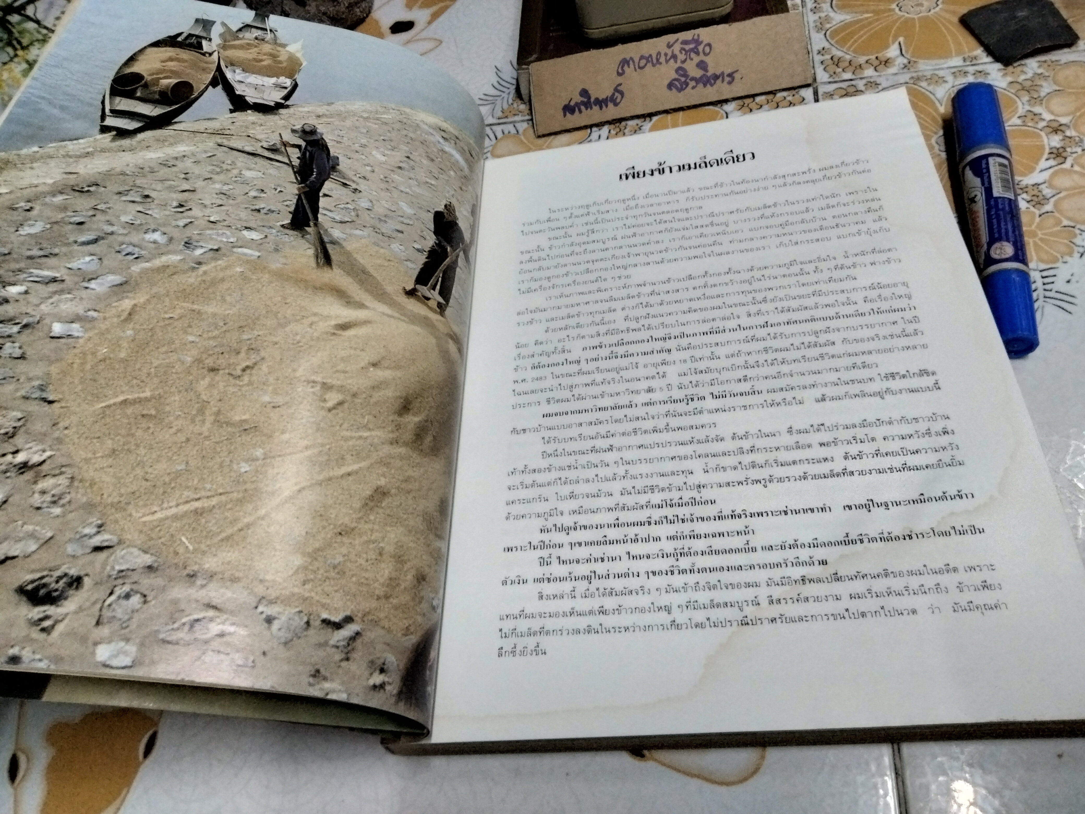 เพียงข้าวเมล็ดเดียว โดย ศาสตราจารย์ ระพี สาคริก พิมพ์ พ.ศ.2525 **สินค้าหมด**