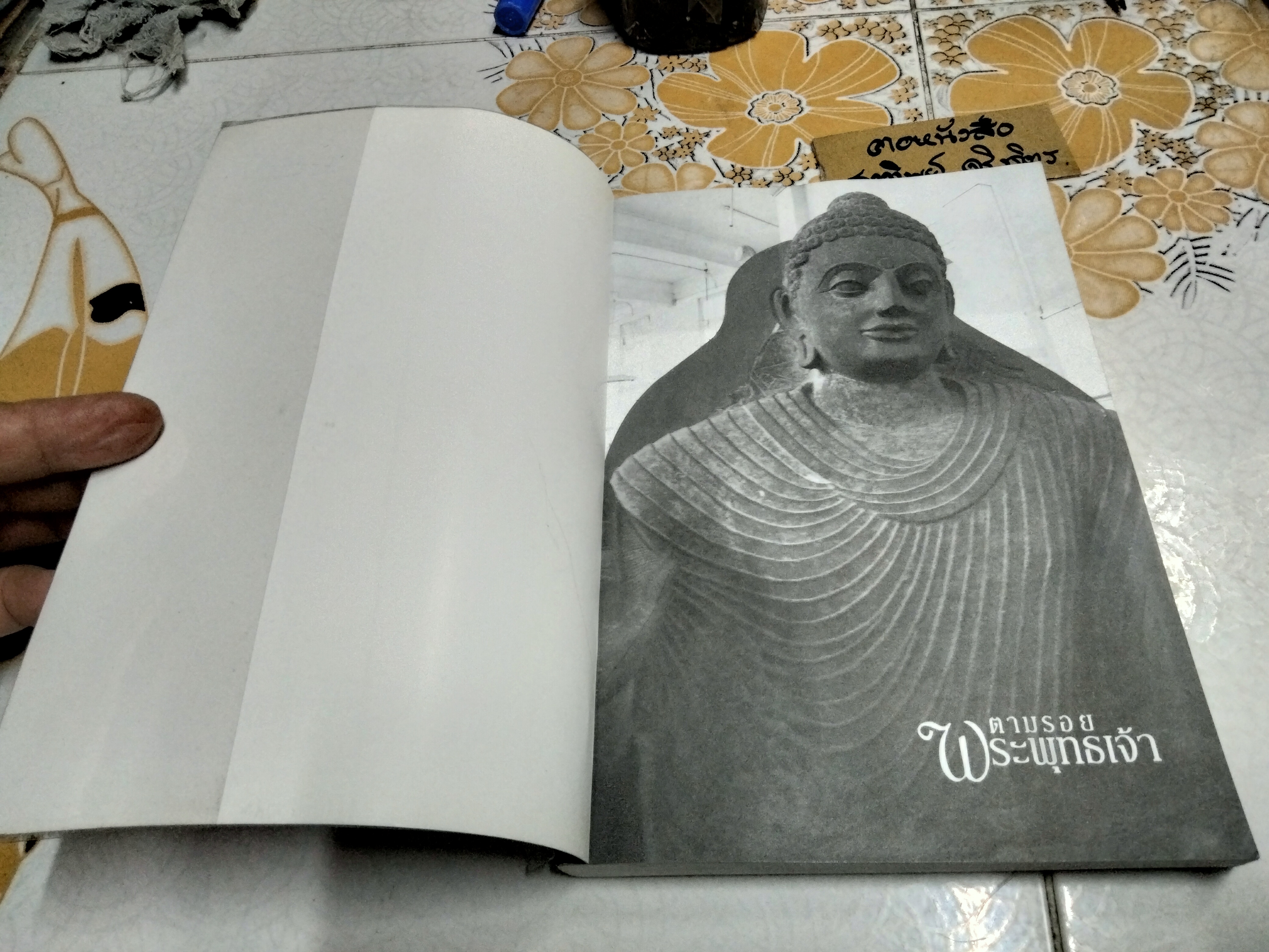 ตามรอยพระพุทธเจ้า panorama worldwide - ลักษณา จีระจันทร์ **สินค้าหมด**