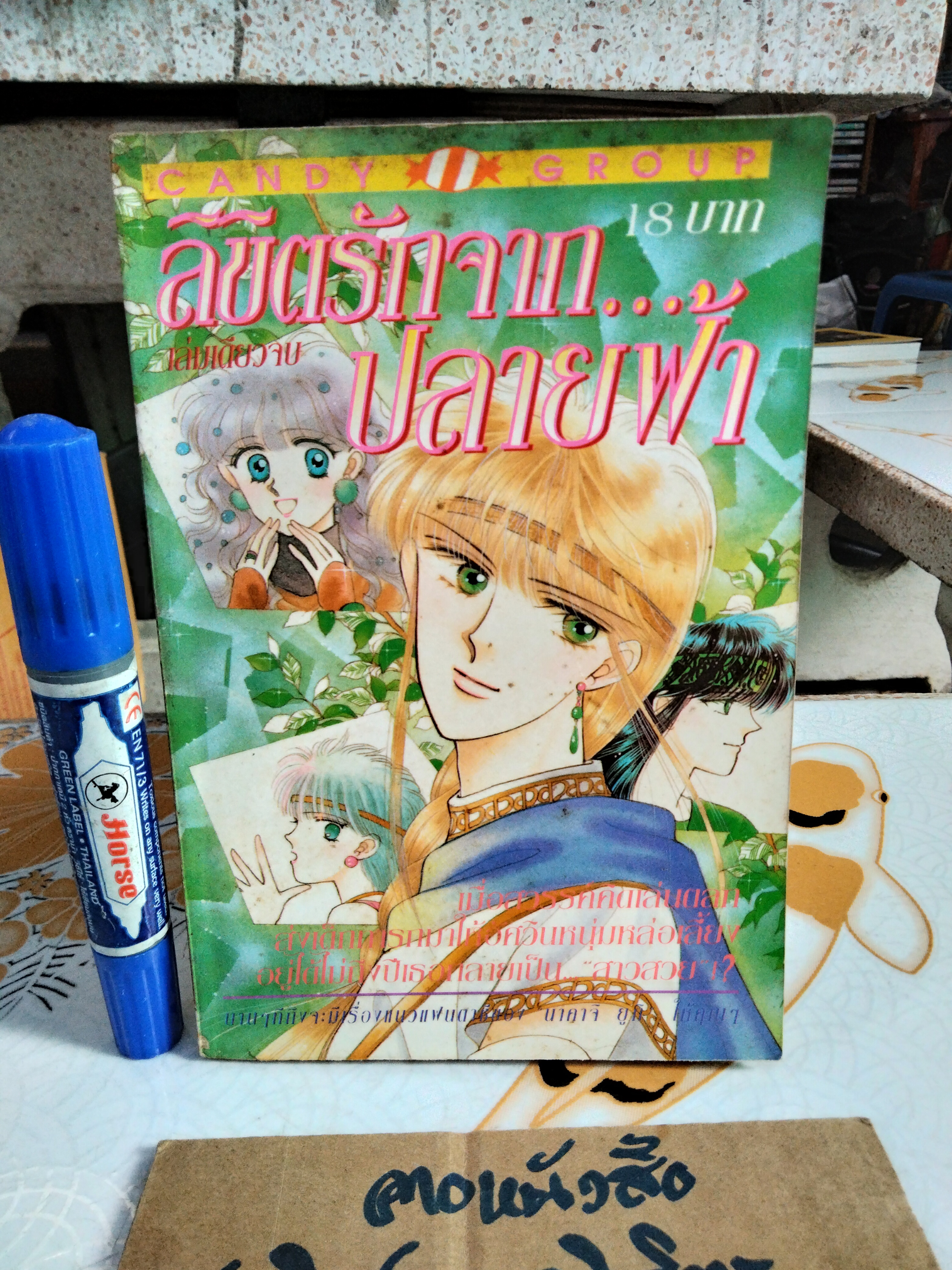 ลิขิตรัก จากปลายฟ้า (เล่มเดียวจบ) ผลงานของ อ.นางาจิ ยูกิ