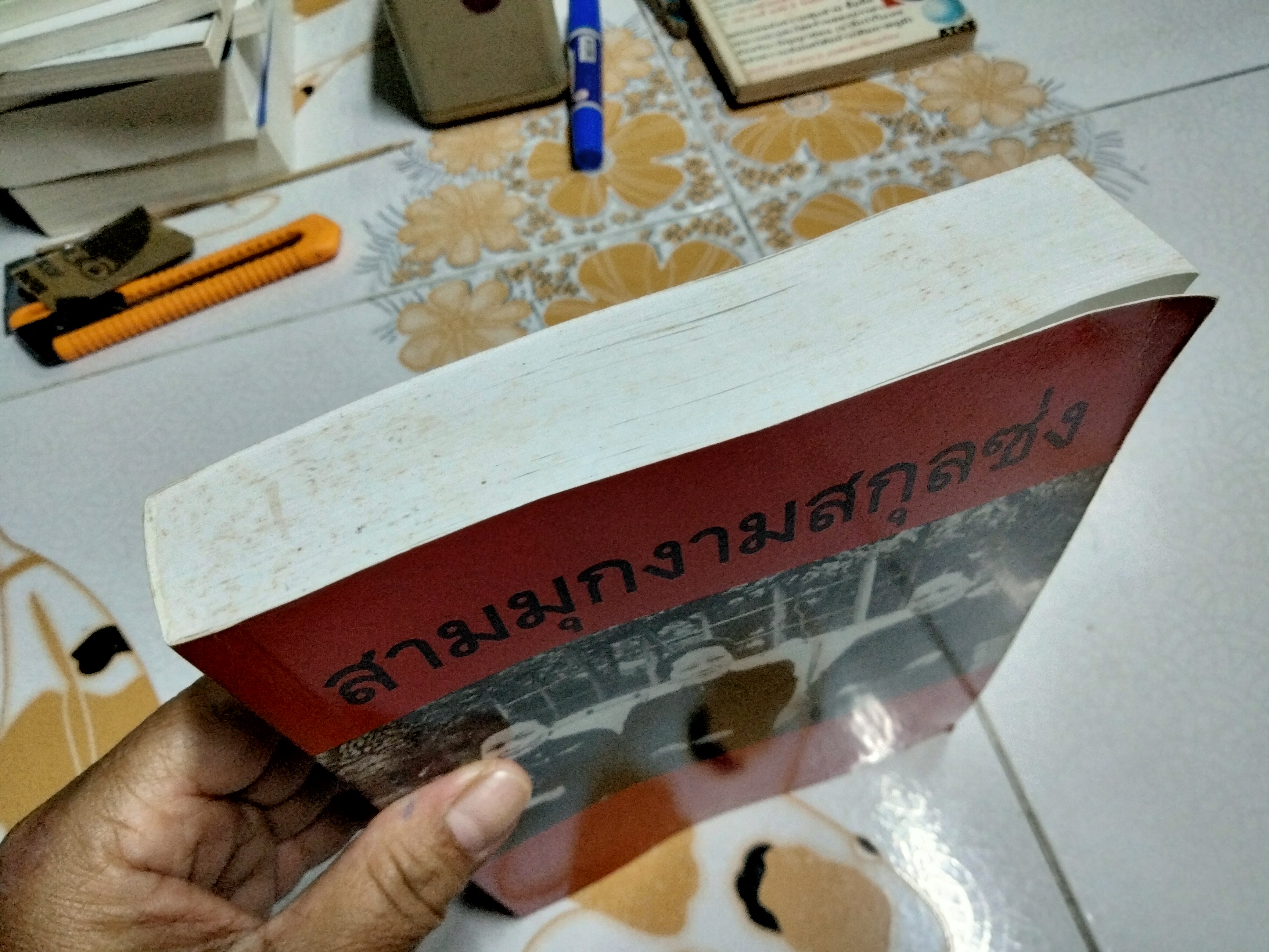 สามมุกงามสกุลซ่ง - สุภาณี ปิยพสุนทรา (พิมพ์รวมเล่มครั้งแรก พ.ศ.2548)