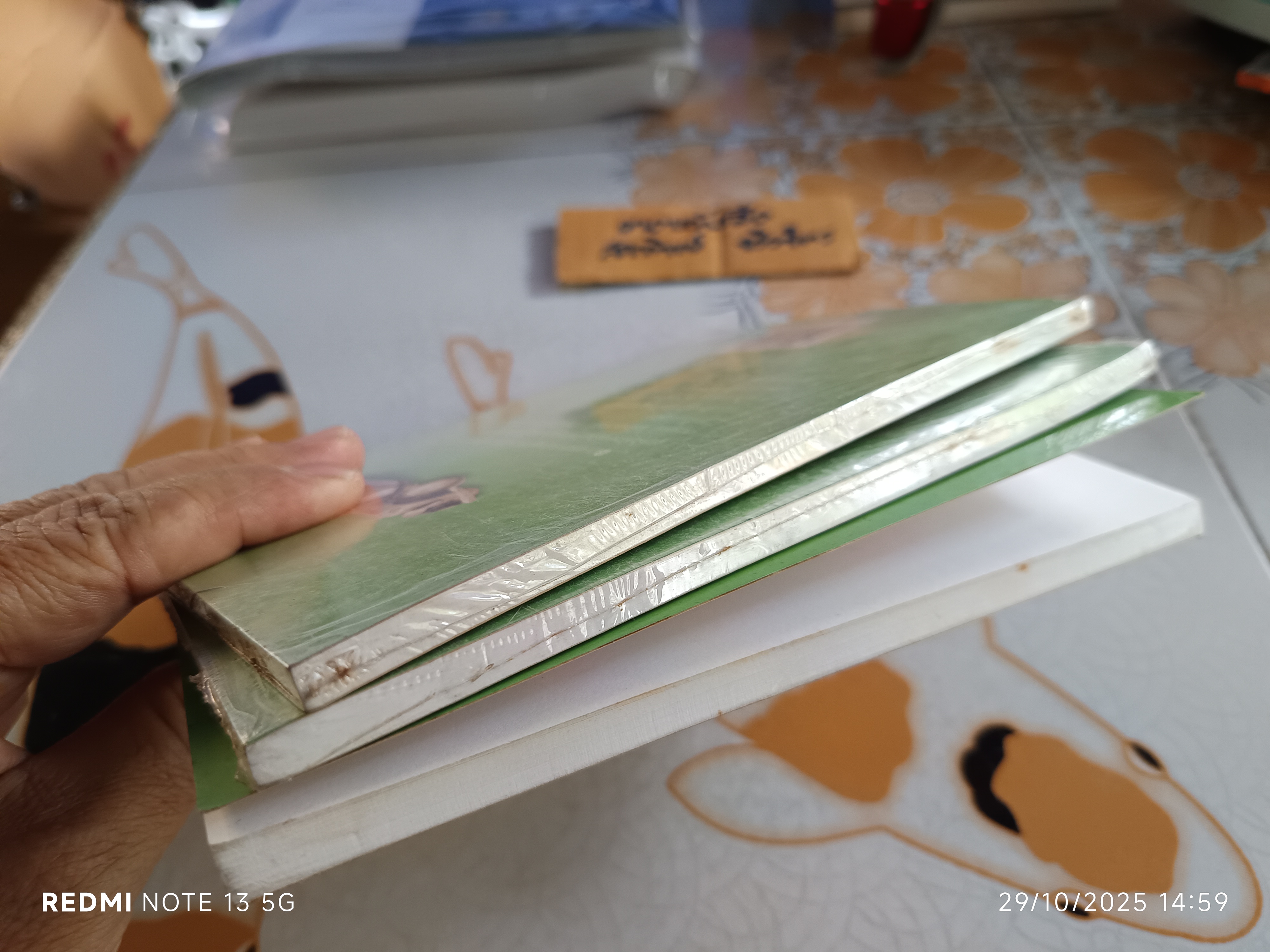 เพื่อนบ้านข้ามเวลา The Childen Next Door - จีน ยัวร์ เขียน , ปิยะภา แปล