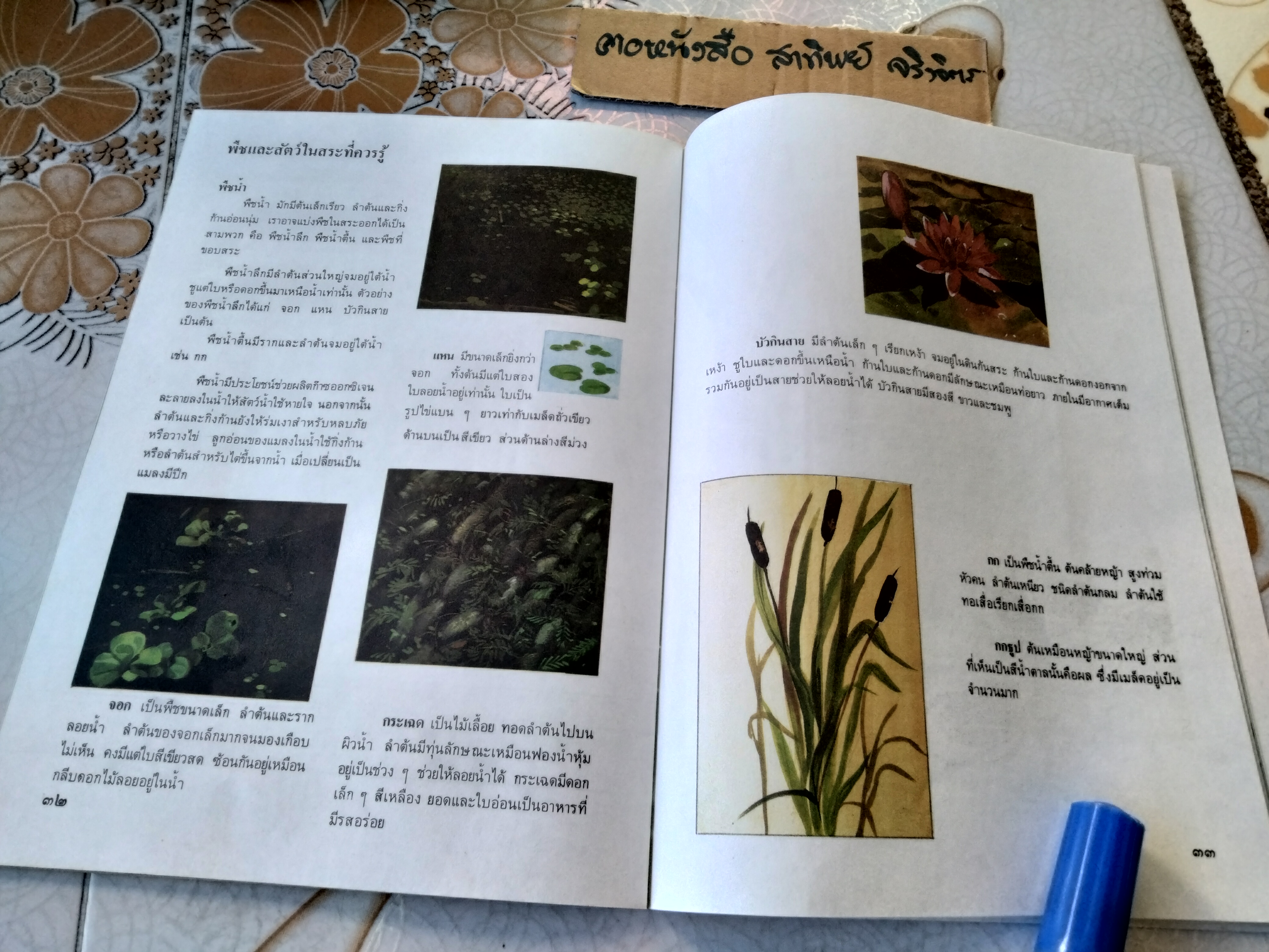 ในสระจ้อย #หนังสือส่งเสริมการอ่านระดับประถมศึกษา (หนังสือเตรียมทำหนังสือห้องสมุด-สภาพดี)