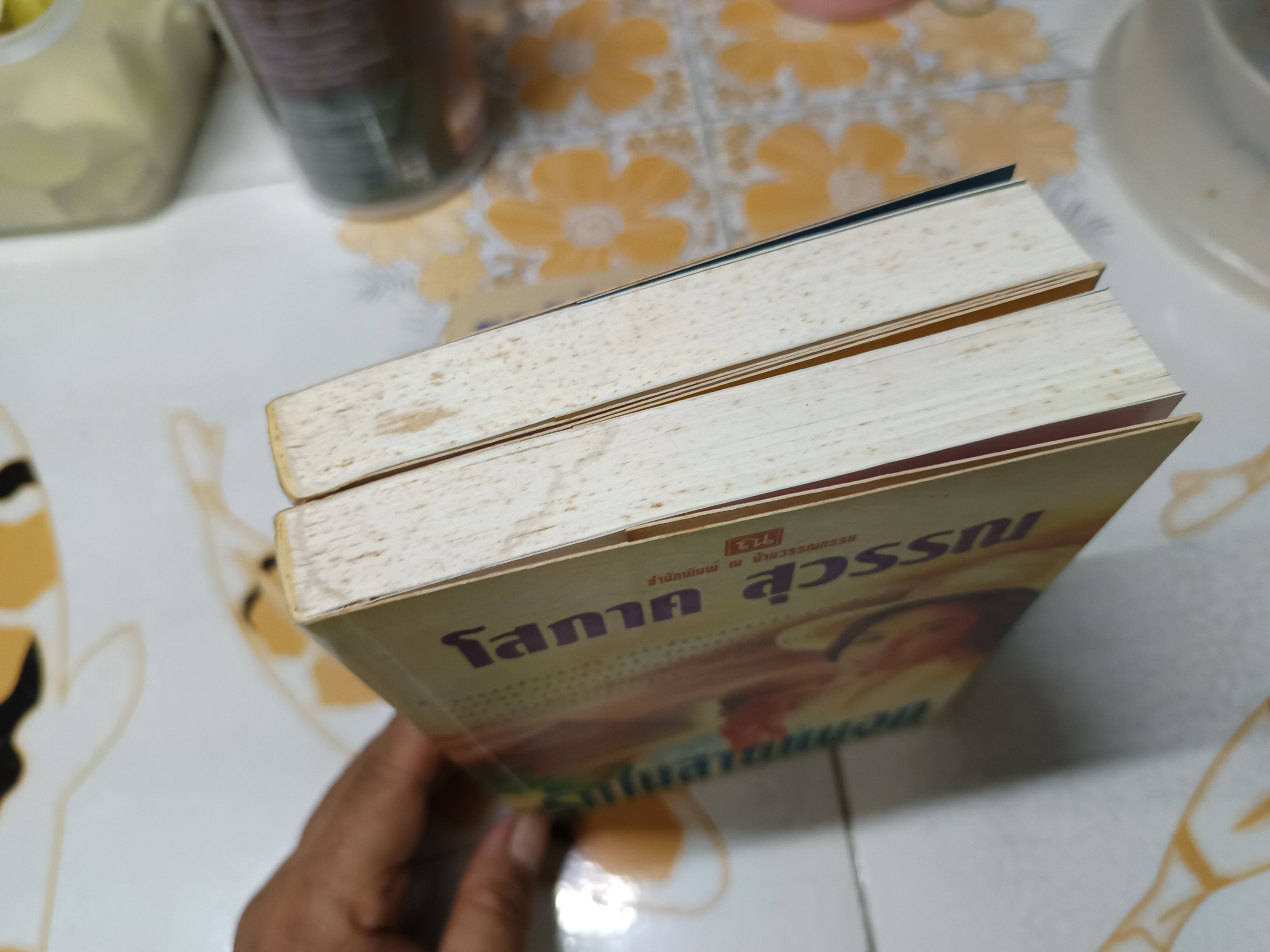 รักในสายหมอก (2 เล่มจบ) โสภาค สุวรรณ