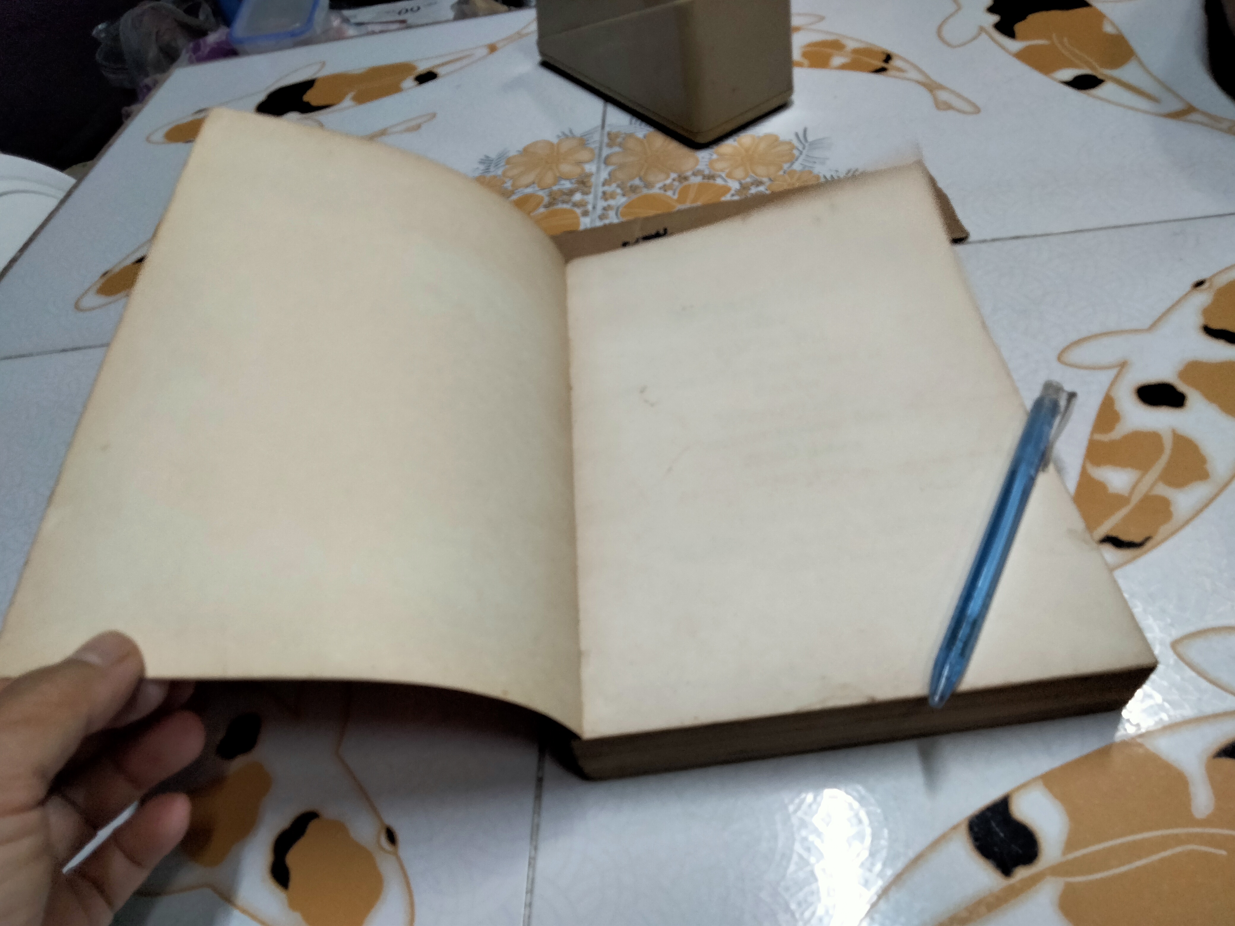 ภูมิวิลาสินี โดย พระศรีวิสุทธิ์โสภณ **สินค้าหมด**