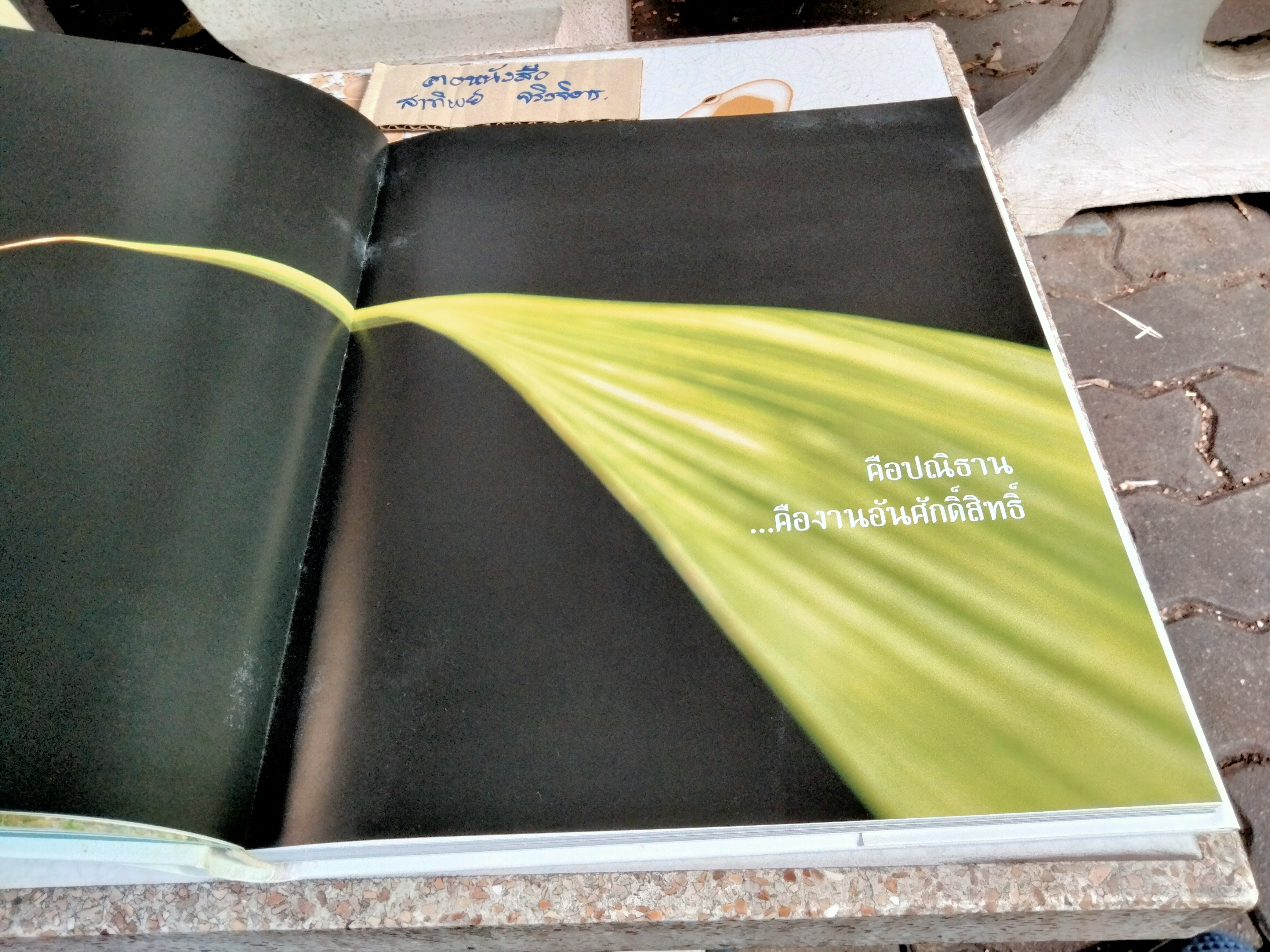 กรุณาแห่งหัวใจ A NOBLE MISSION โดย แม่ชีศันสนีย์ เสถียรสุต **สินค้าหมด**