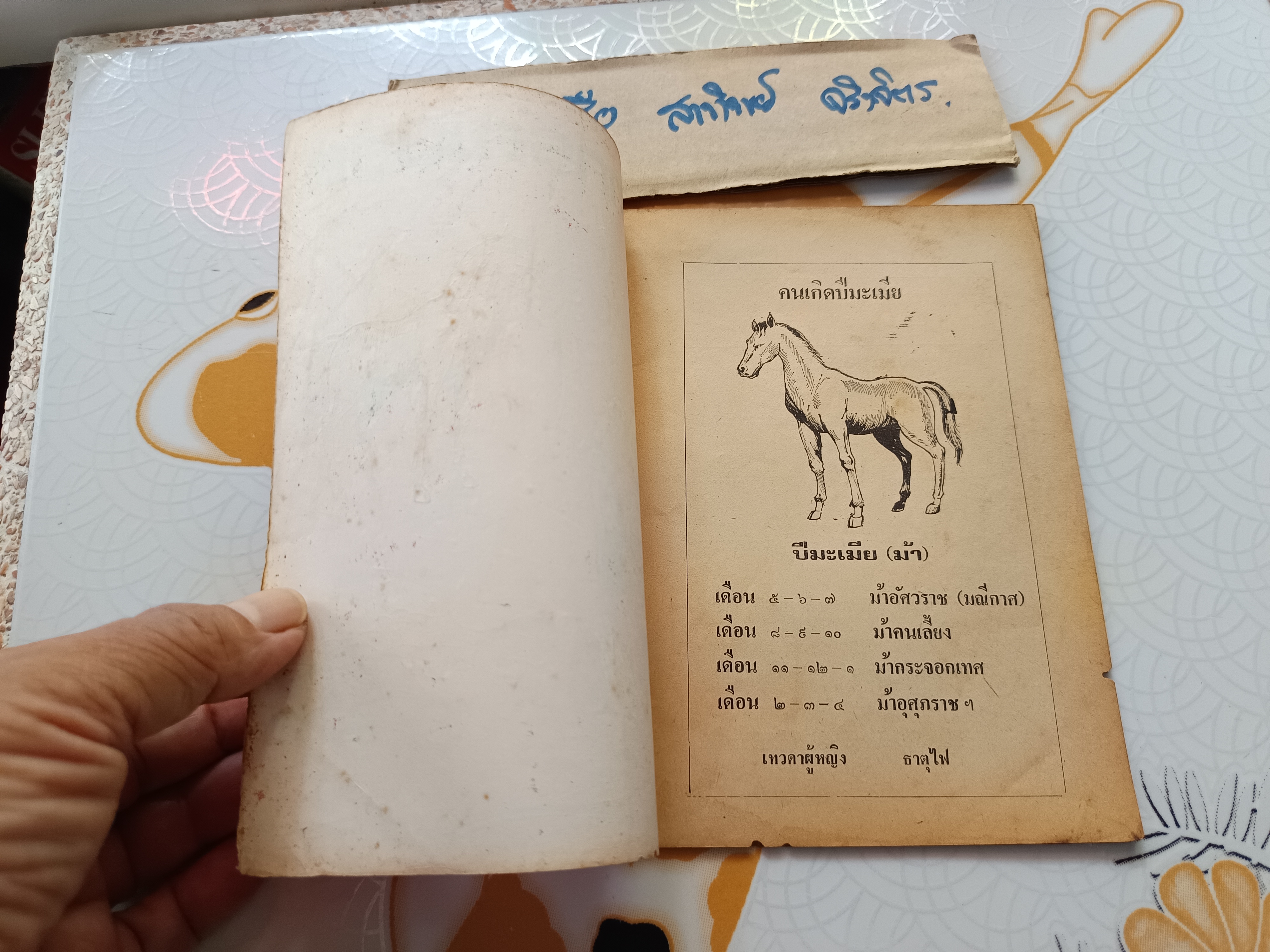 พยากรณ์ชีวิต คนเกิดปีมะเมีย (ม้า)