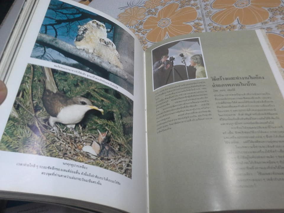 กลวิธีในการถ่ายภาพ ภาค 2 - ผลิตโดย บริษัท โกดัก (ประเทศไทย) จำกัด **สินค้าหมด**