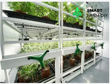 โต๊ะปลูก แบบ 3 ชั้น EBB and Flow มีรางระบายน้ำ