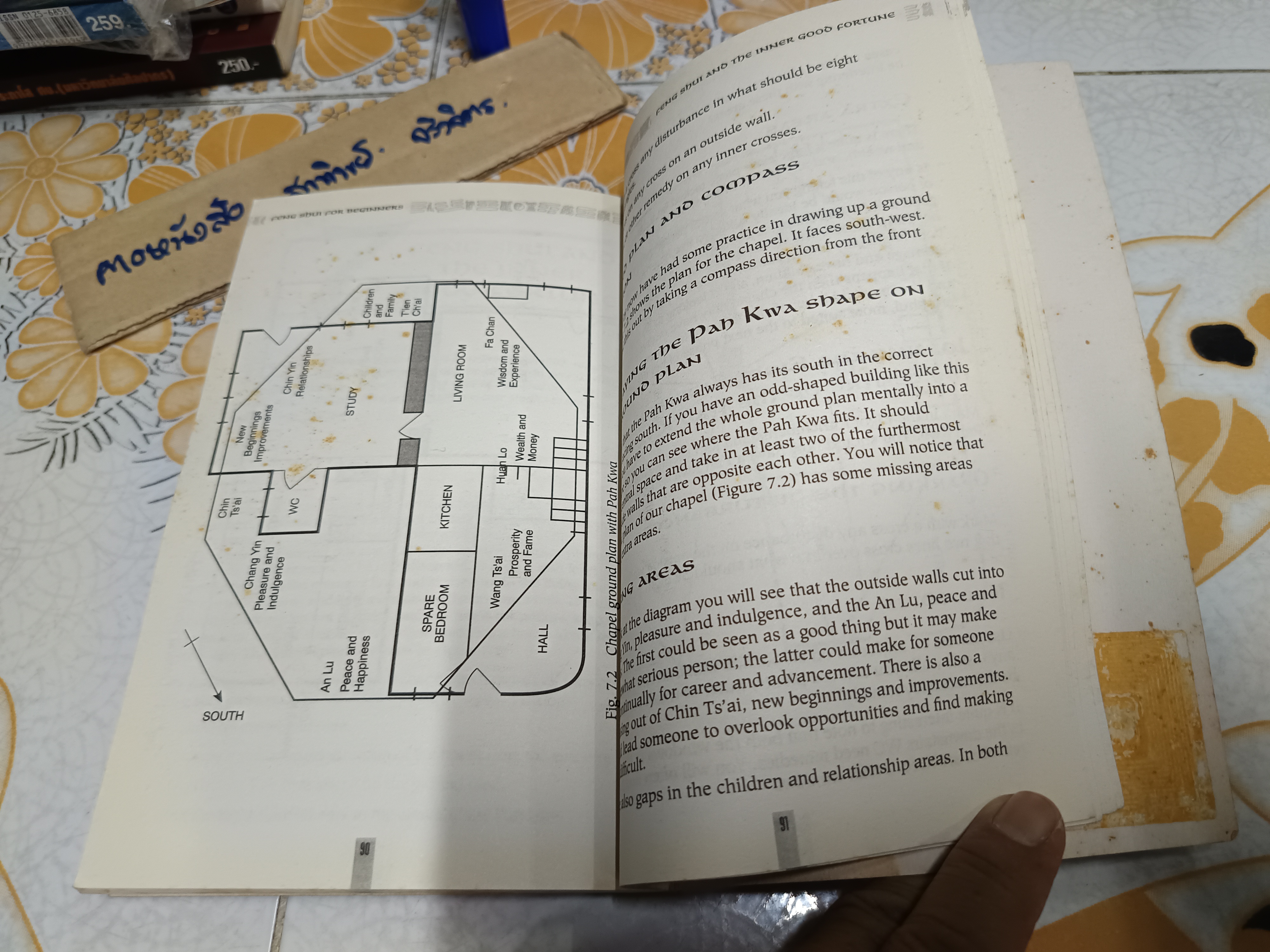 FENG SHUI FOR BEGINNERS by RICHARD CRAZE