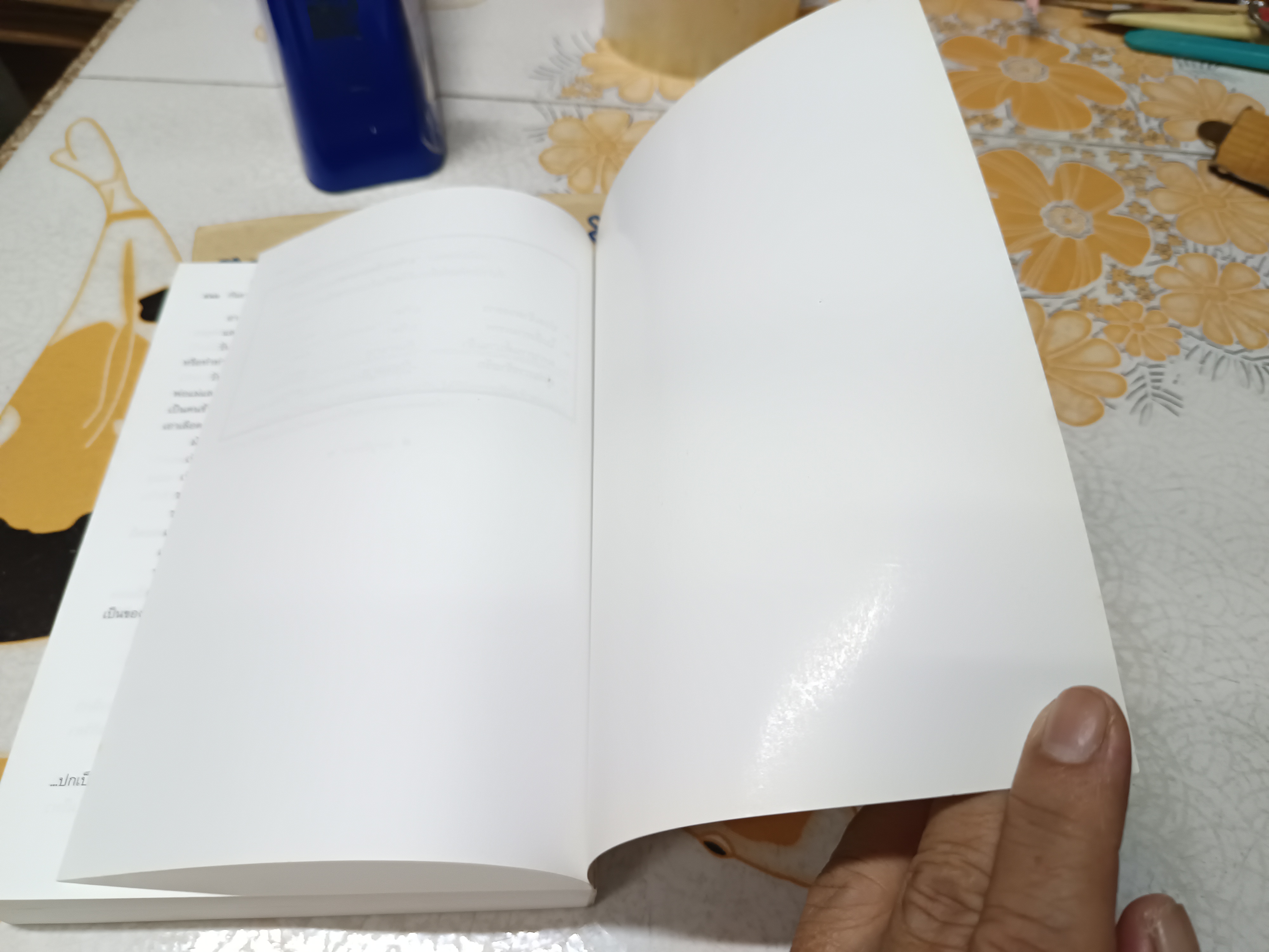 คุณหนูดอกฟ้ากะแมวข้างบ้าน (เล่มเดียวจบ) - กัญญามาศ พิมพ์ครั้งแรกพ.ศ 2547 สำนักพิมพ์เพื่อนดี