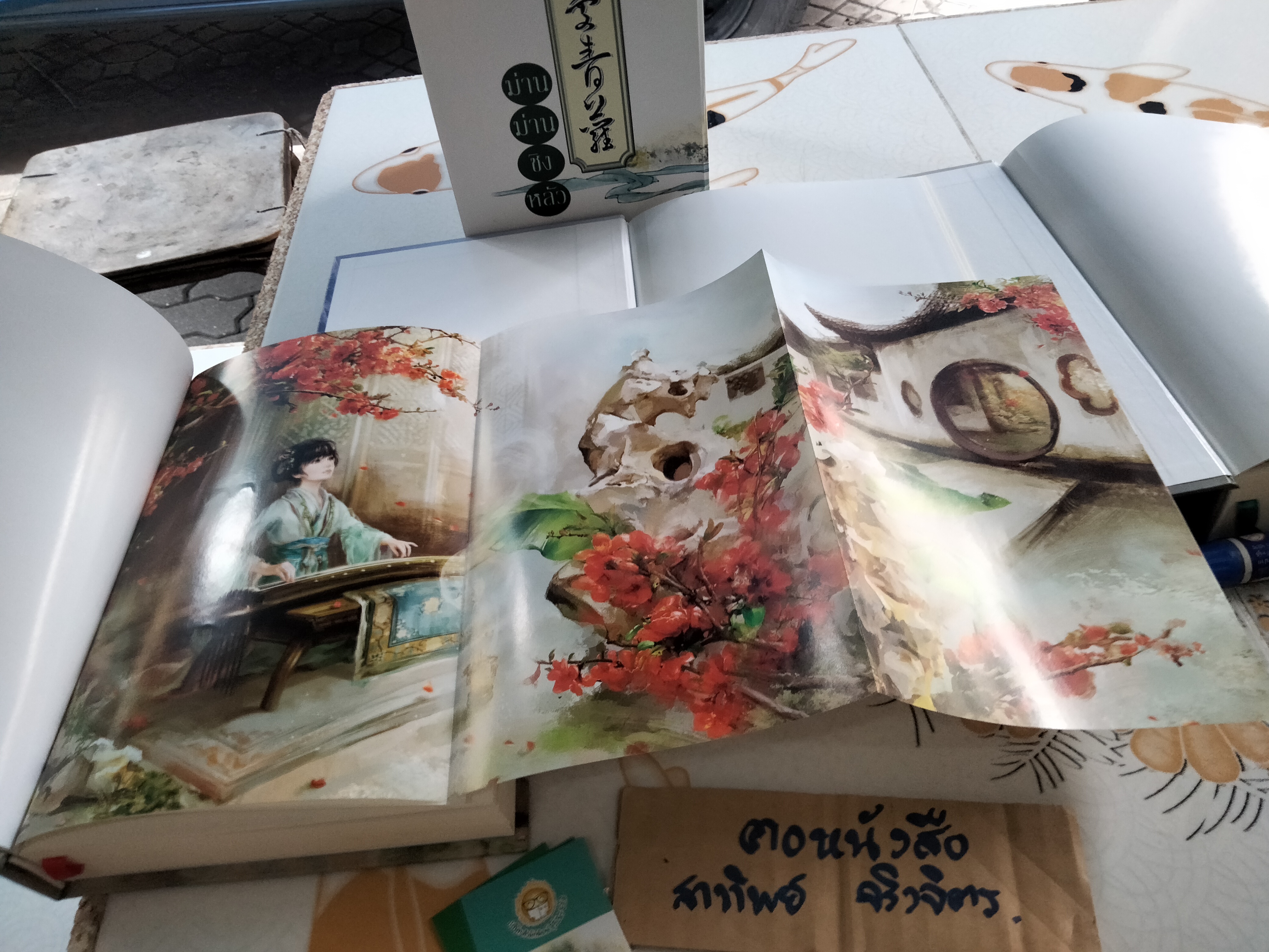 Boxset ม่านม่านชิงหลัว (3 เล่มจบ) เรื่องโดย จวงจวง, แปลโดย หลินโหม่ว (สุรีย์ พฤกษานุศักดิ์) **สินค้าหมด**