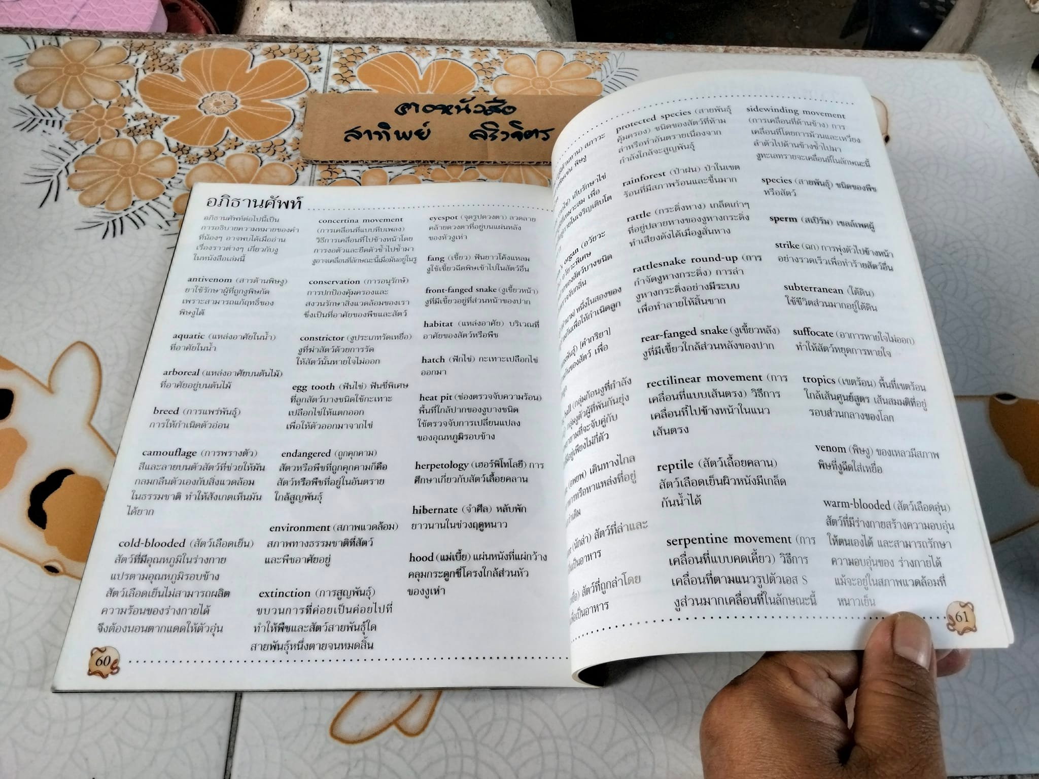 โลกของงู - Rachel Firth and Jonathan Sheikh-Miller. เขียน ,จริยา กีรติวุฒิ แปล **สินค้าหมด**