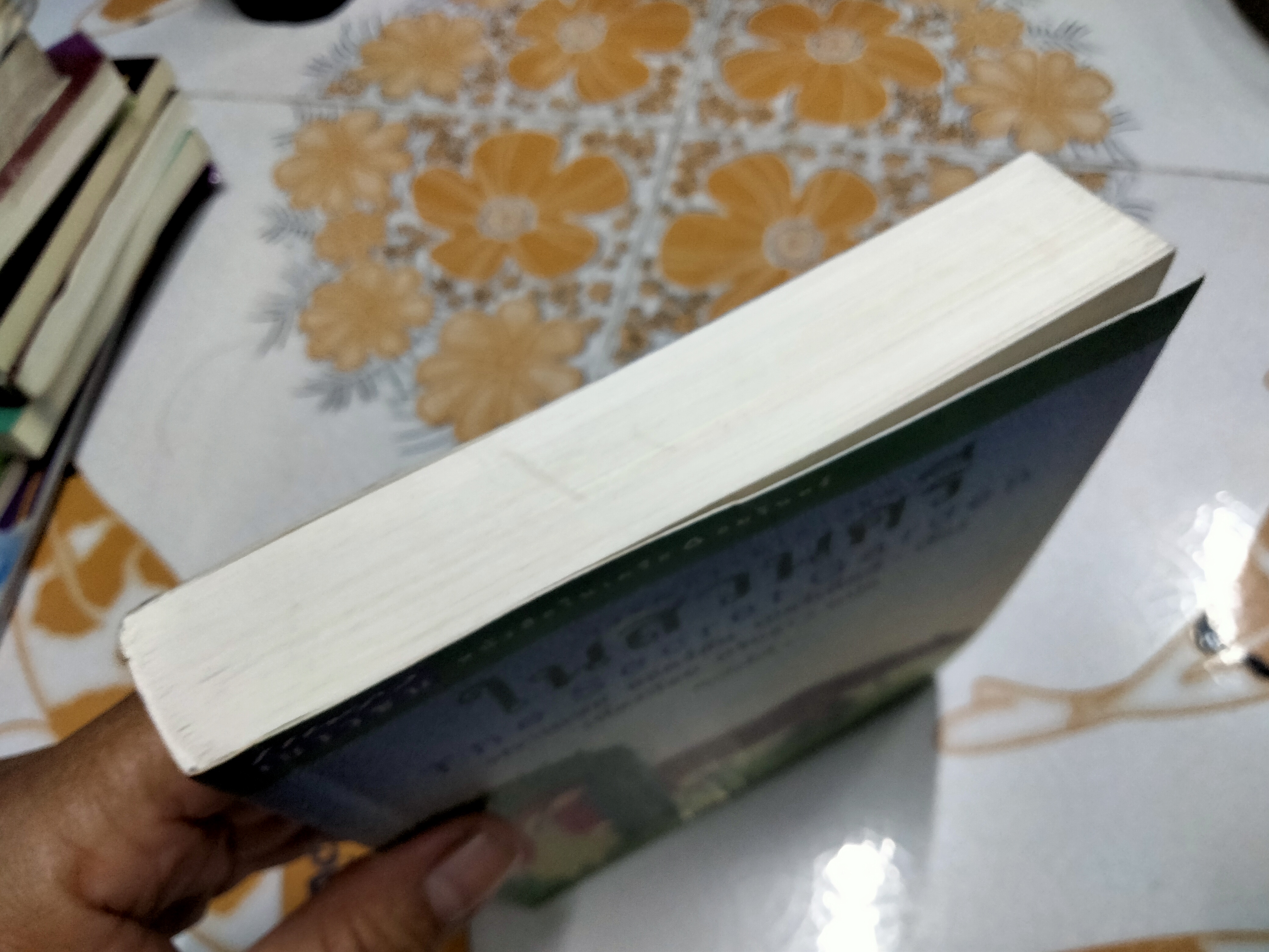 ในสวนศรี (The Secret Garden) ฟรานเซส ฮอดจ์สัน เบอร์เน็ตต์ เขียน , เนื่องน้อย ศรัทธา แปล **สินค้าหมด**