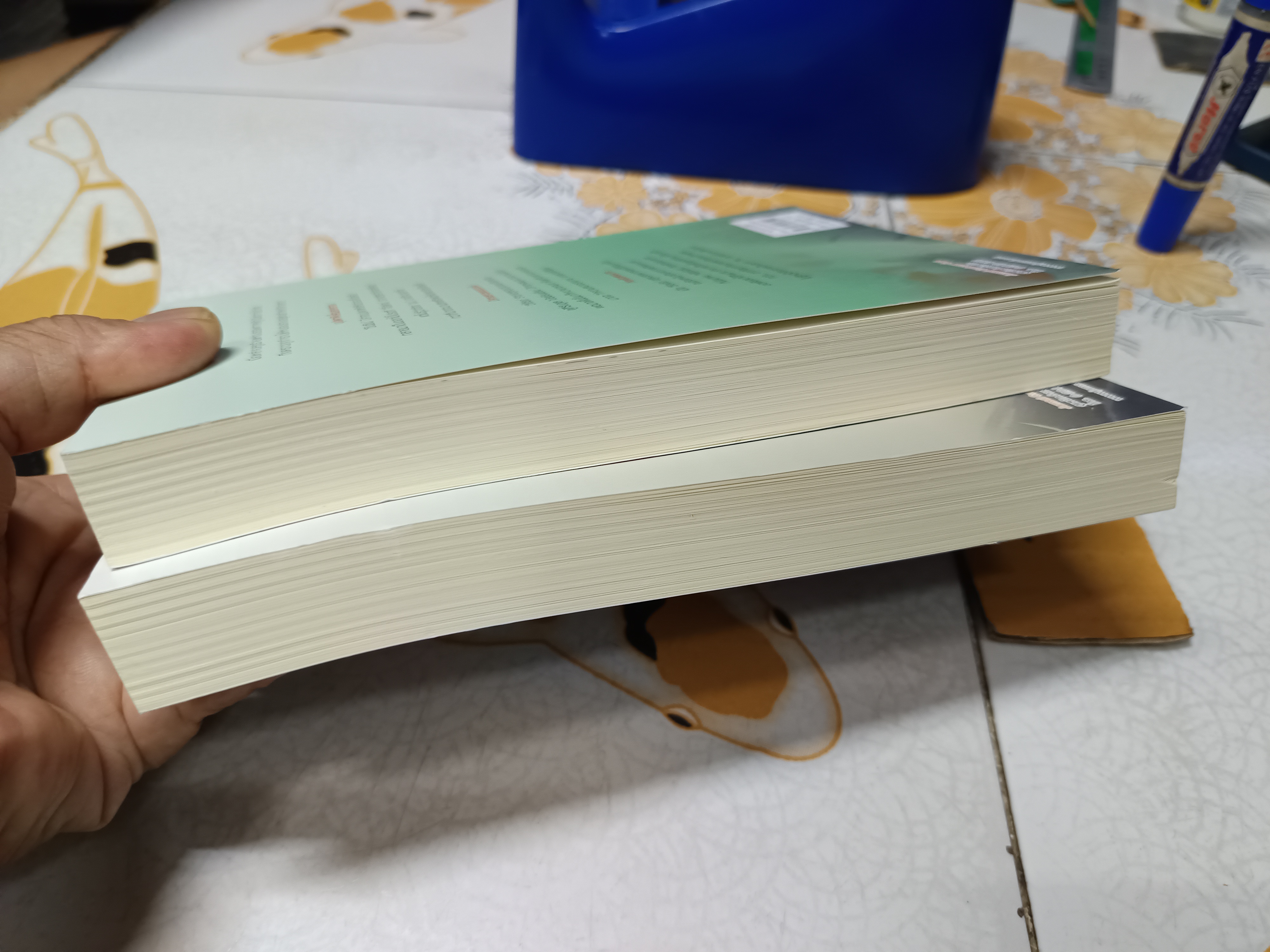 ตำนานรักอสูรร้าย เล่ม 1-2 (2เล่มจบ) ผู้แต่ง เอ๋อเหมย ผู้แปล ถิงถิง สำนักพิมพ์แจ่มใส (มากกว่ารัก)