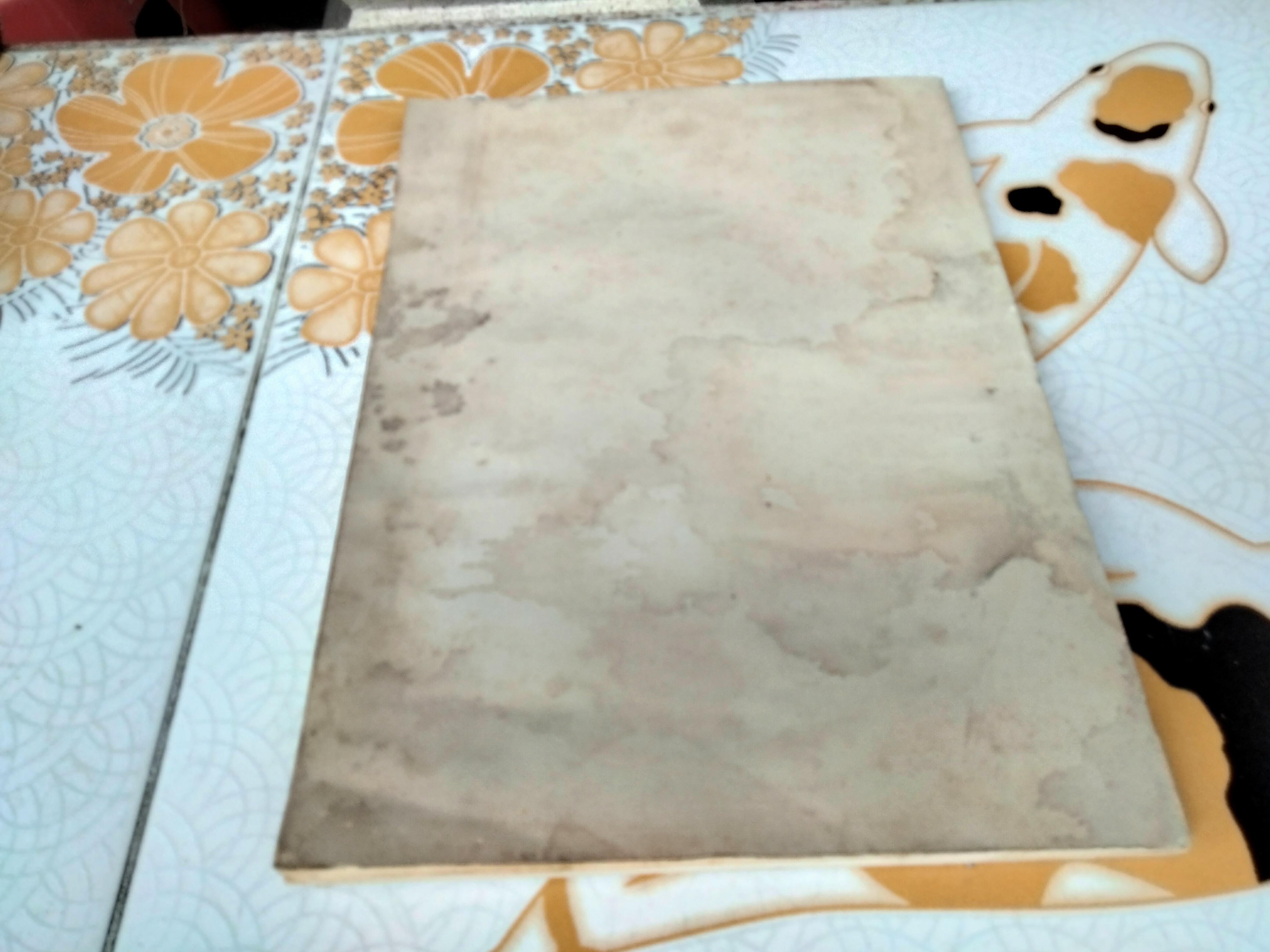 การชี้สองสถาน โดยอาจารย์ธานินทร์ กรัยวิเชียร (มีคราบน้ำ) **สินค้าหมด**