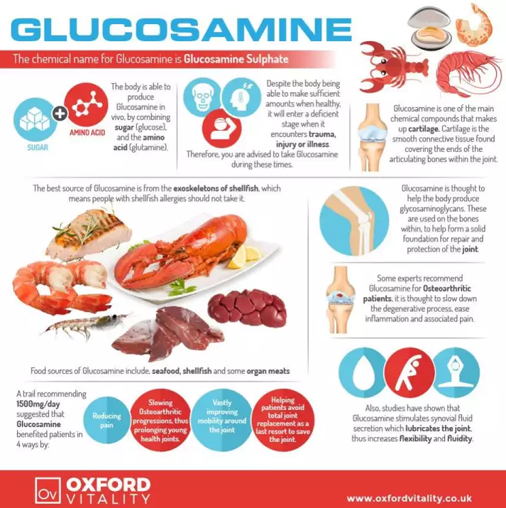 (Pre Order) 21st Century® Glucosamine+MSM+Chondroitin Advanced, 120 Coated Tablets