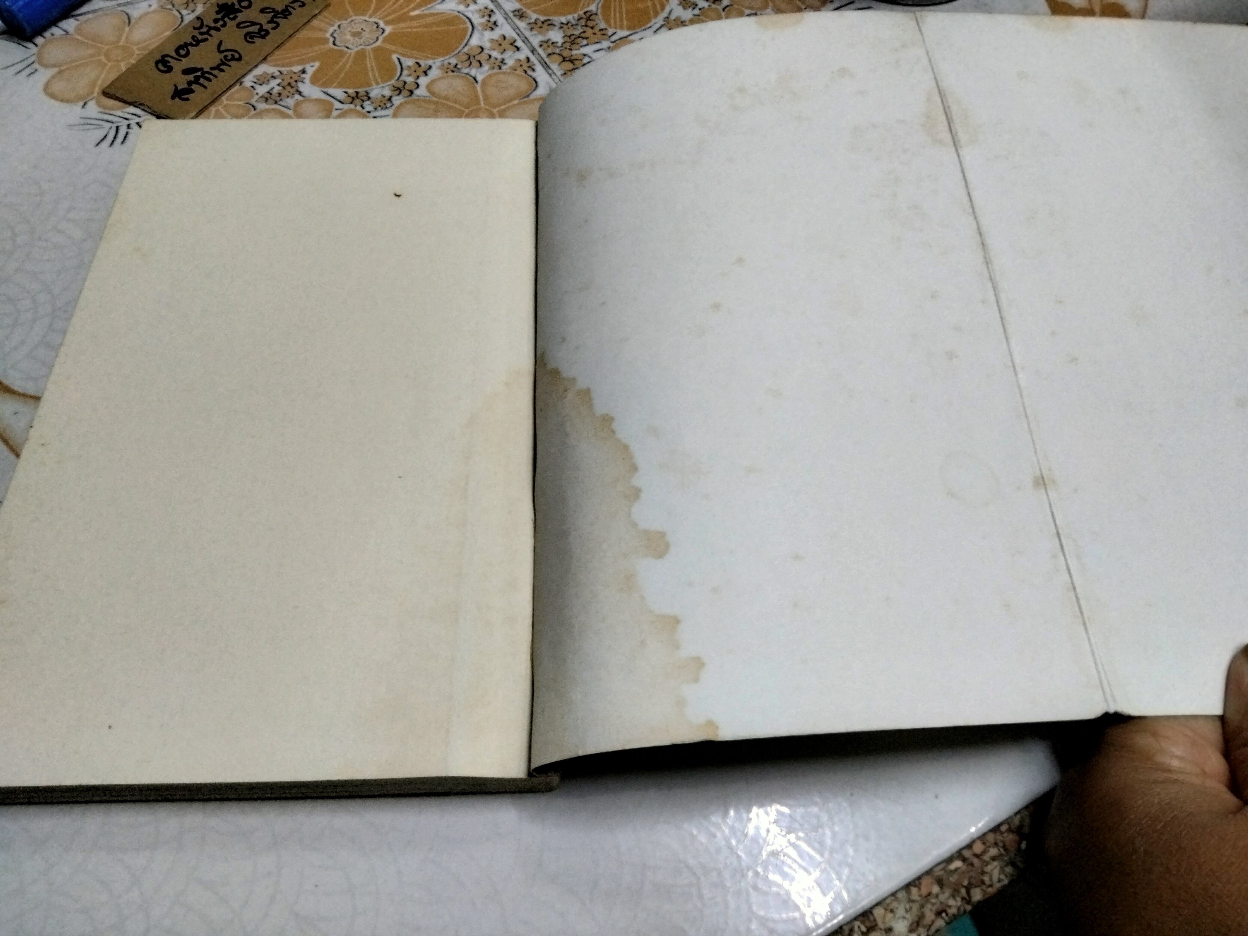 วะบิ - ซะบิ สำหรับศิลปิน นักออกแบบ กวี & นักปรัชญา โดย เลนนาร์ด โคเรน , กรินทร์ กลิ่นขจร แปล (พิมพ์ครั้งแรก 2546) **สินค้าหมด**