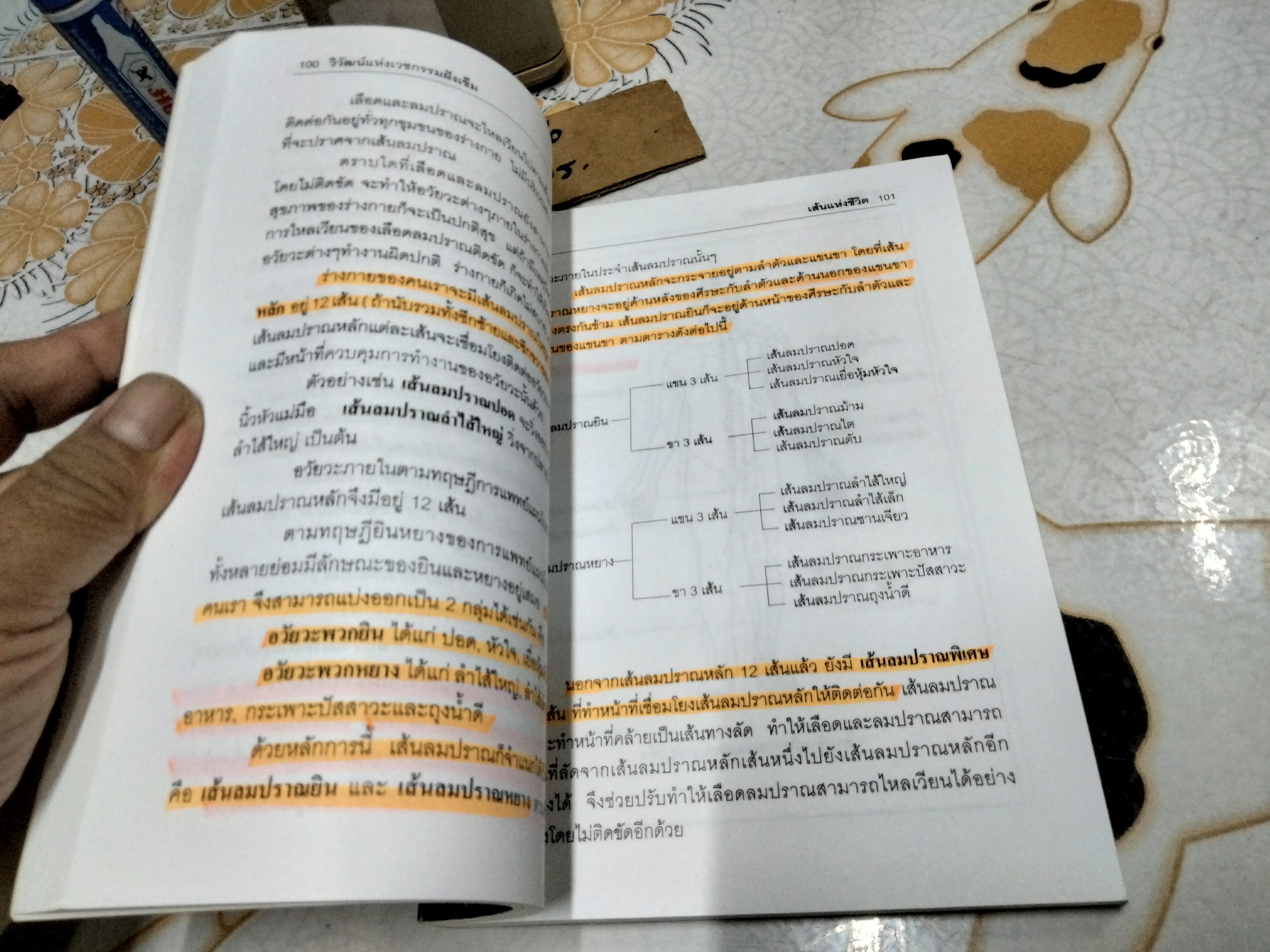 วิวัฒน์แห่งเวชกรรมฝังเข็ม / นพ.อภิชัย ชัยดรุณ พิมพ์ครั้งแรก 2543 (มีรอยปากกาเน้นข้อความเยอะมาก) **สินค้าหมด**