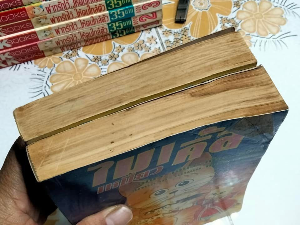 ไมเคิ้ลเหมียว (2 เล่มจบ) **สินค้าหมด**