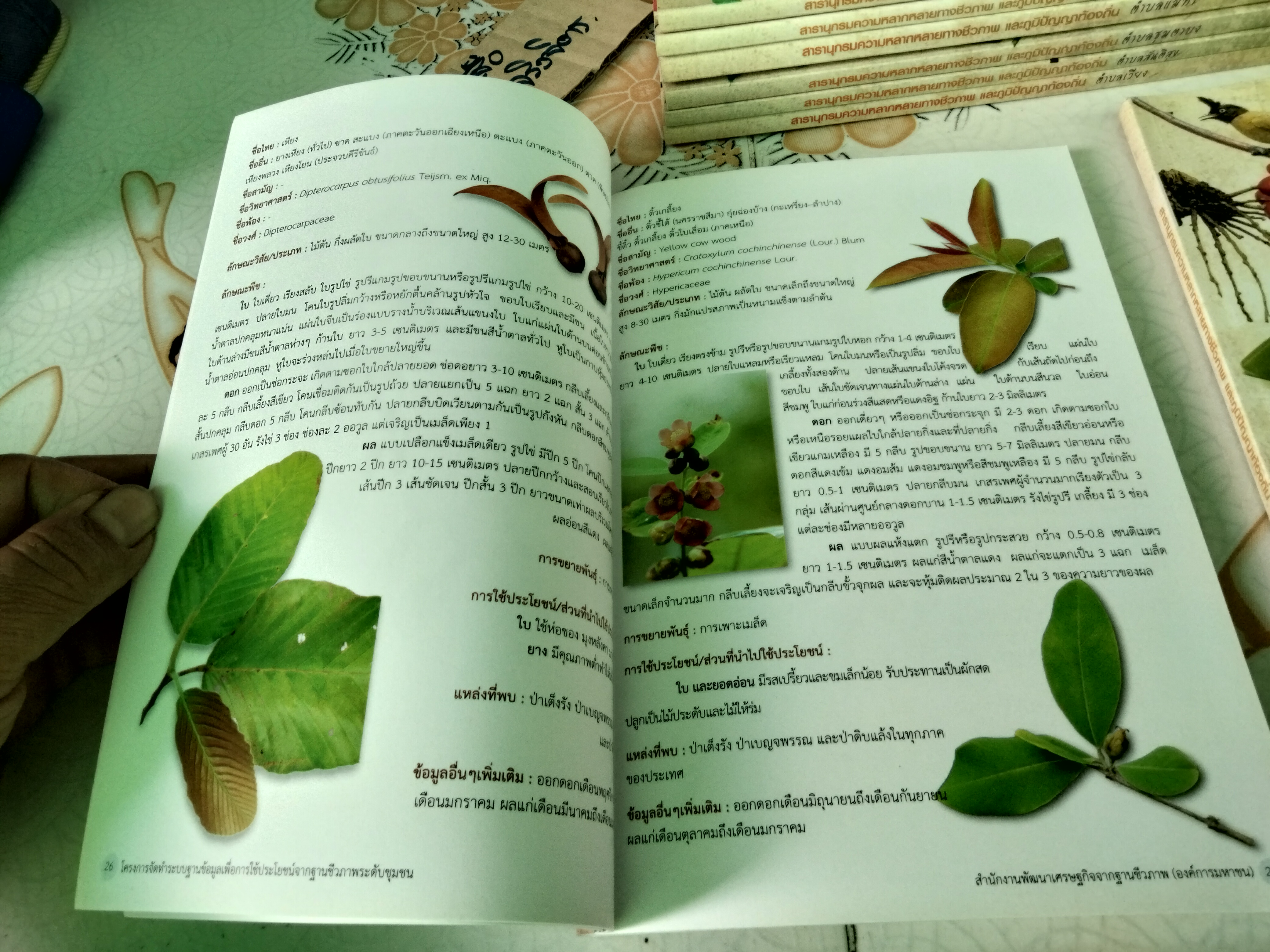 สารานุกรมความหลากหลายทางชีวภาพและภูมิปัญญาท้องถิ่น 20 ชุมชน (มีแค่ 8 เล่ม จาก 20 เล่ม/ชุด)