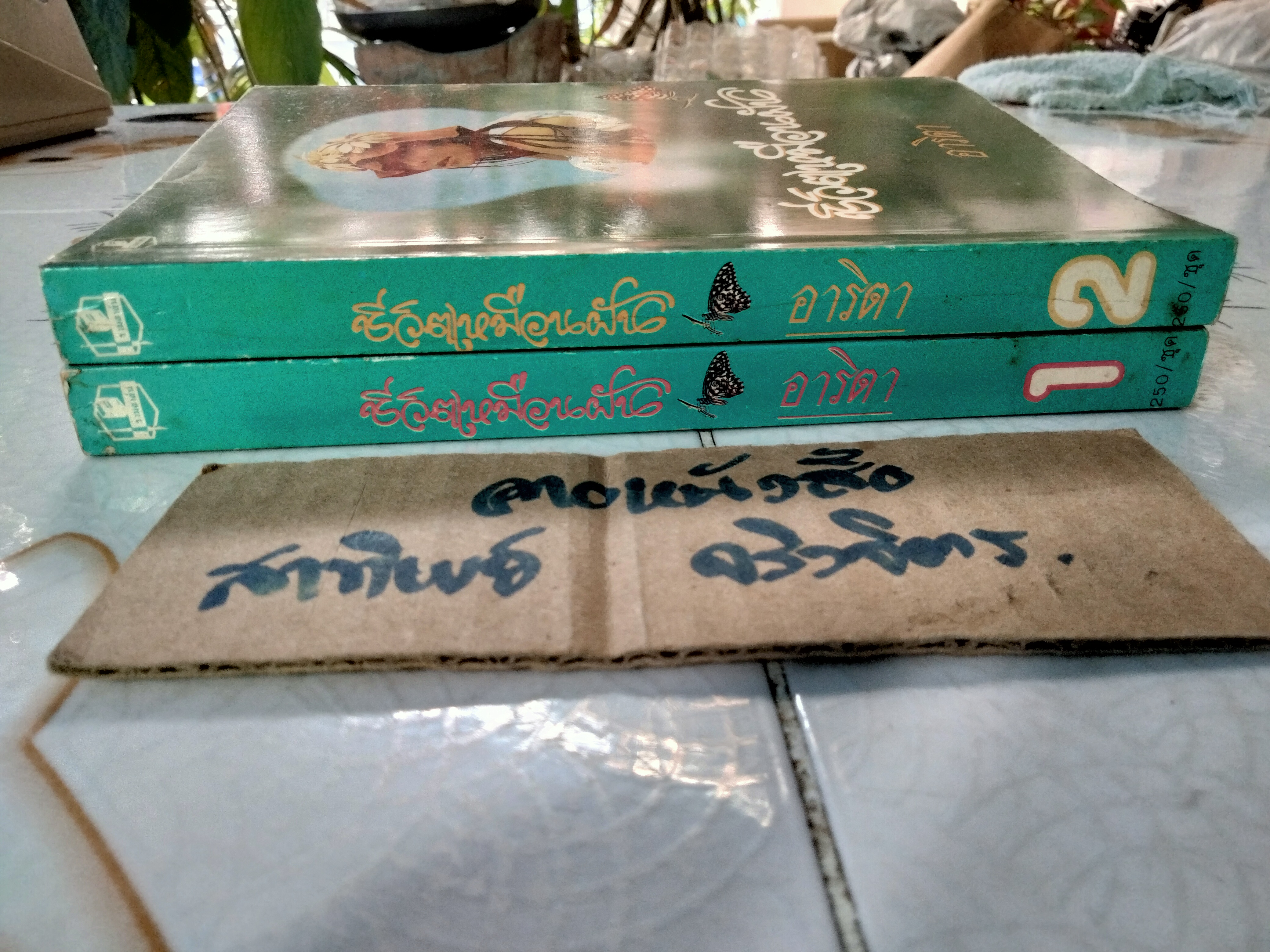 ชีวิตเหมือนฝัน ( 2 เล่มจบ) อาริตา